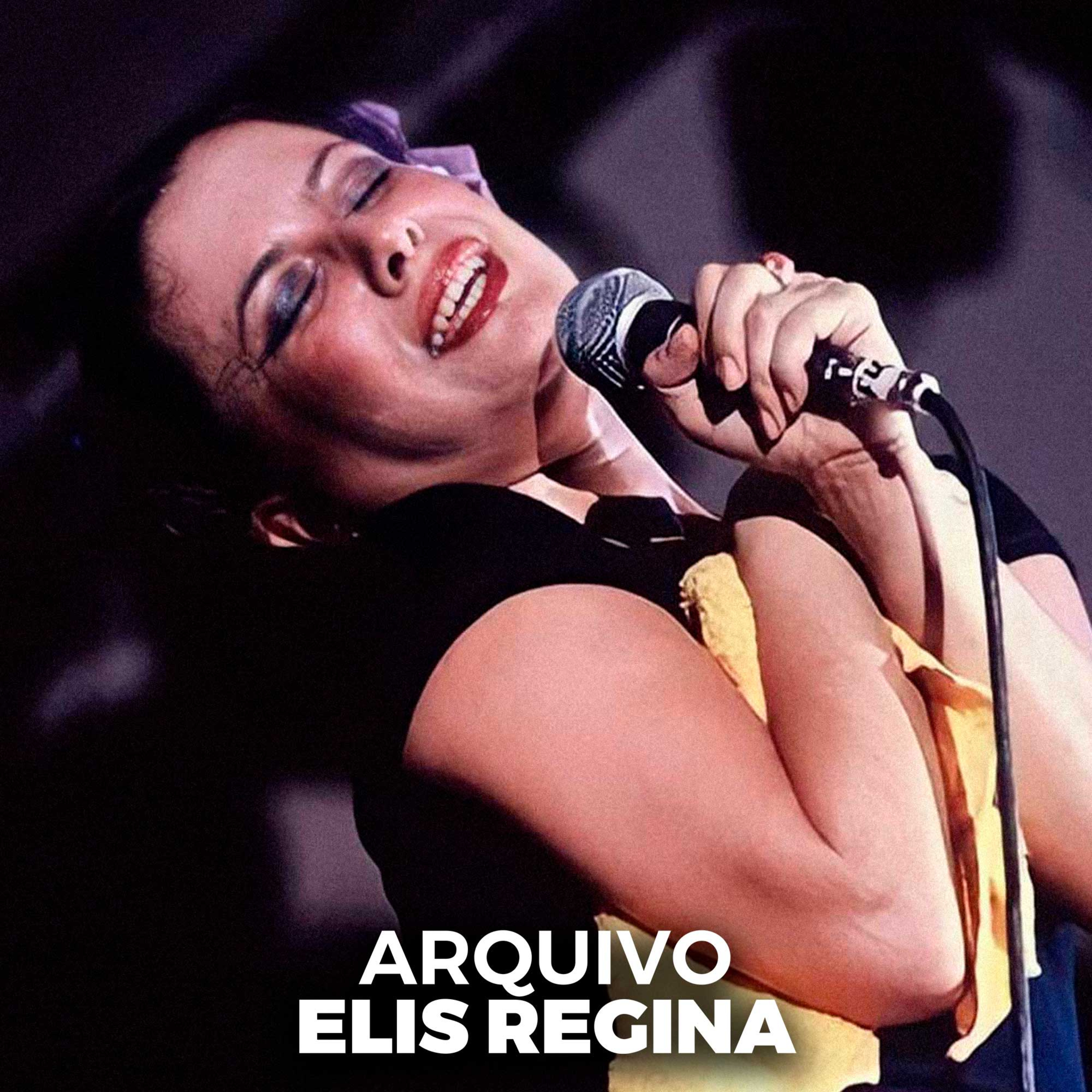 Arquivo Elis Regina