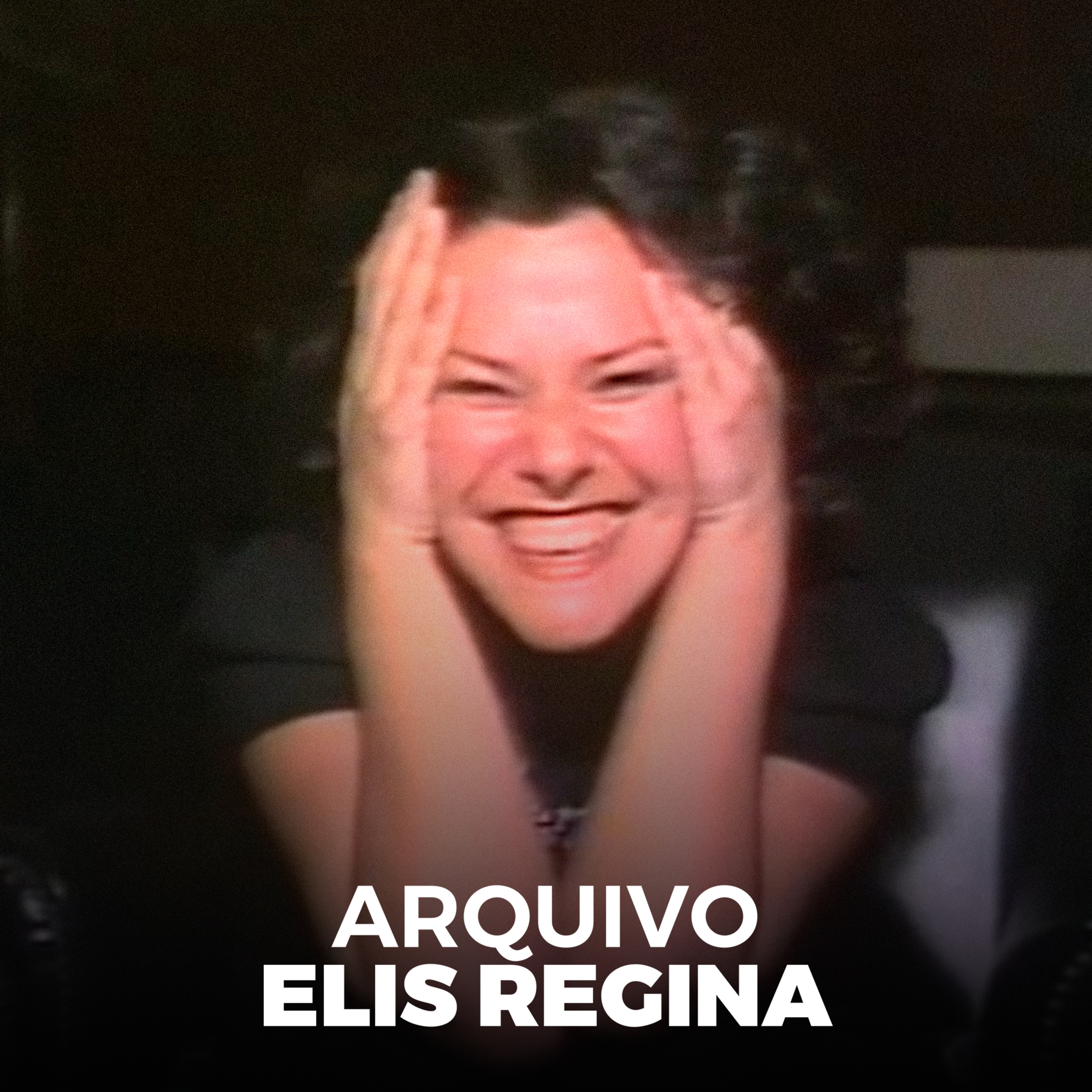Arquivo Elis Regina