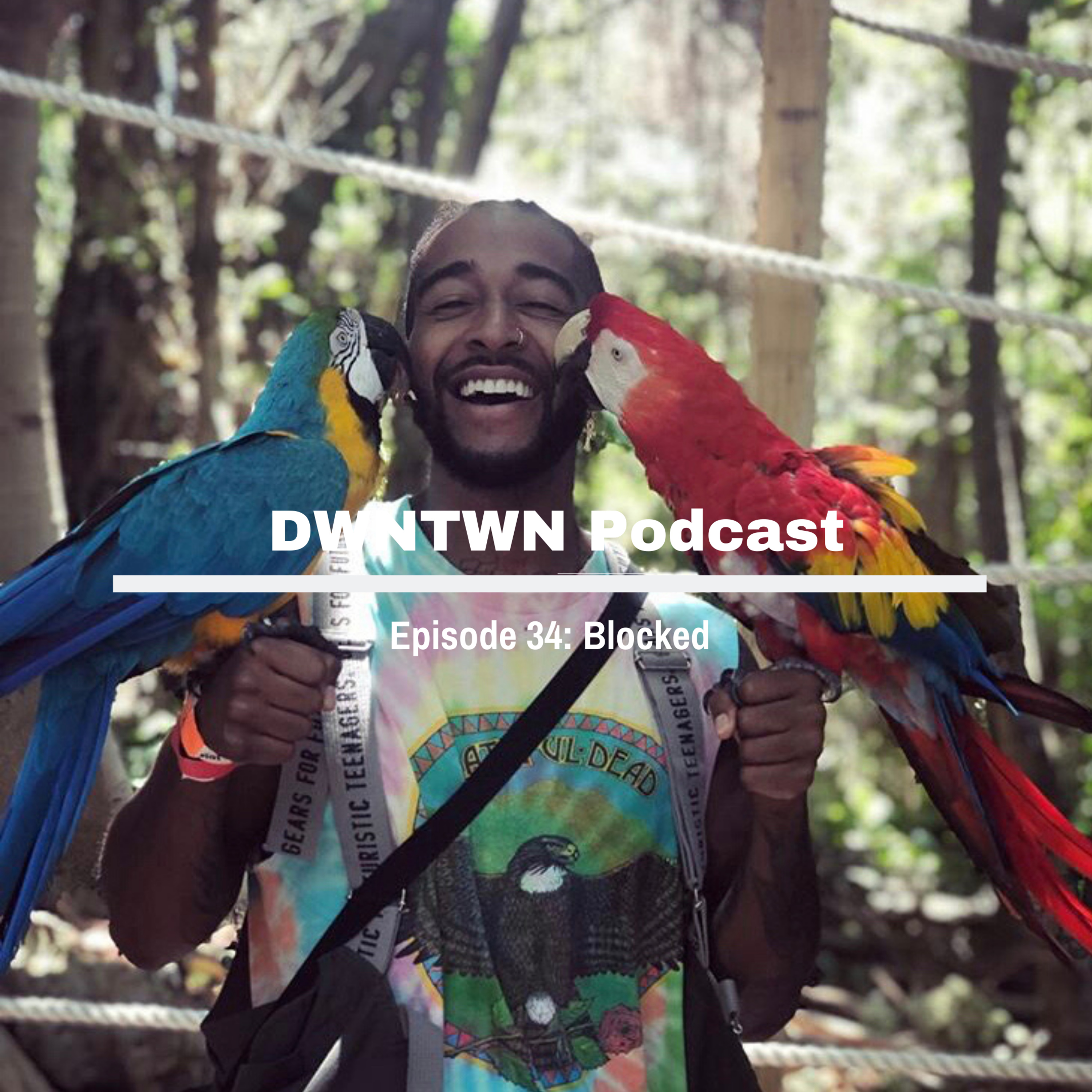 The DWNTWNWRLD Show