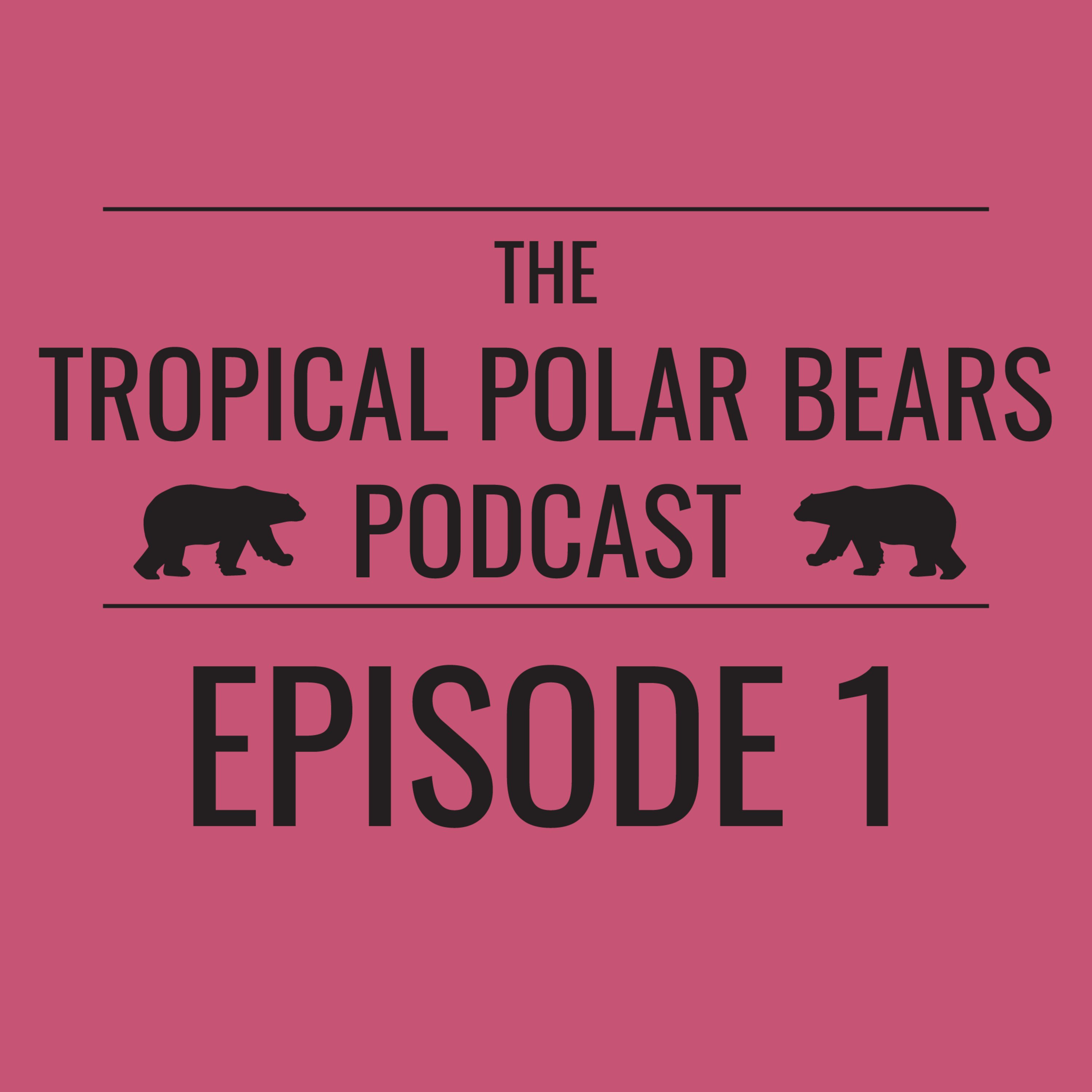 The Tropical Polar Bears Podcast