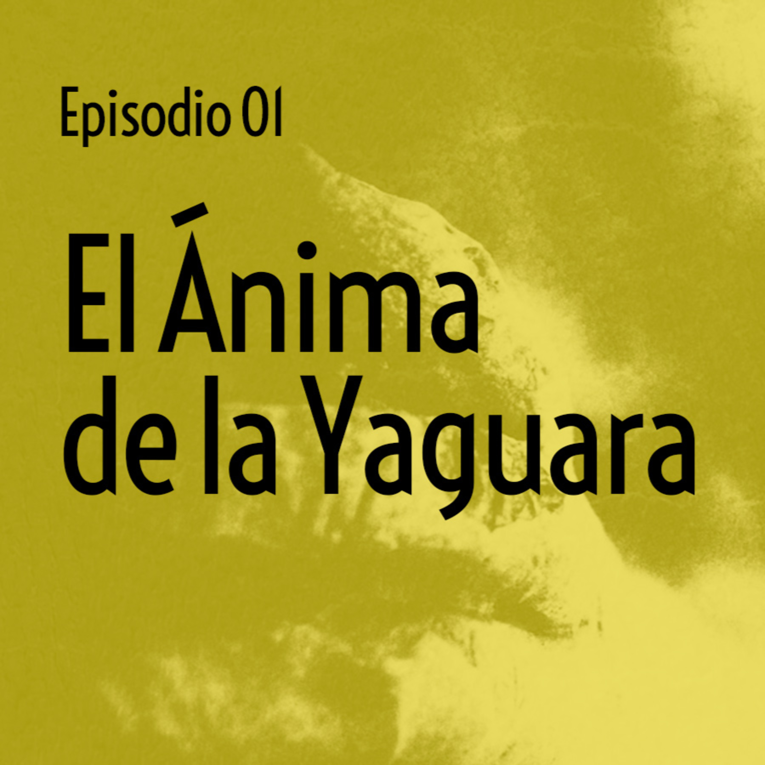 Ep.1 - El Ánima de la Yaguara