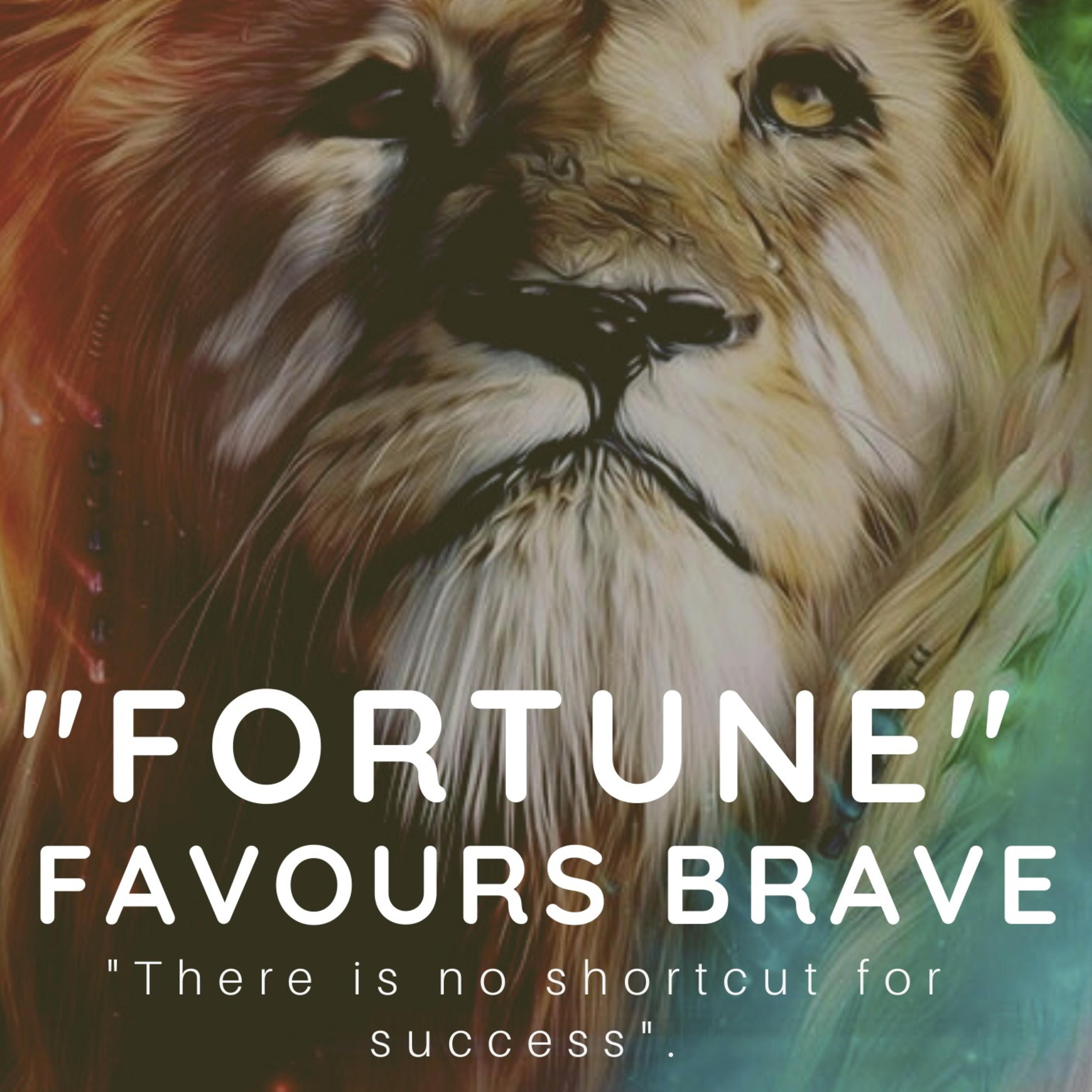 Fortune favors the brave.