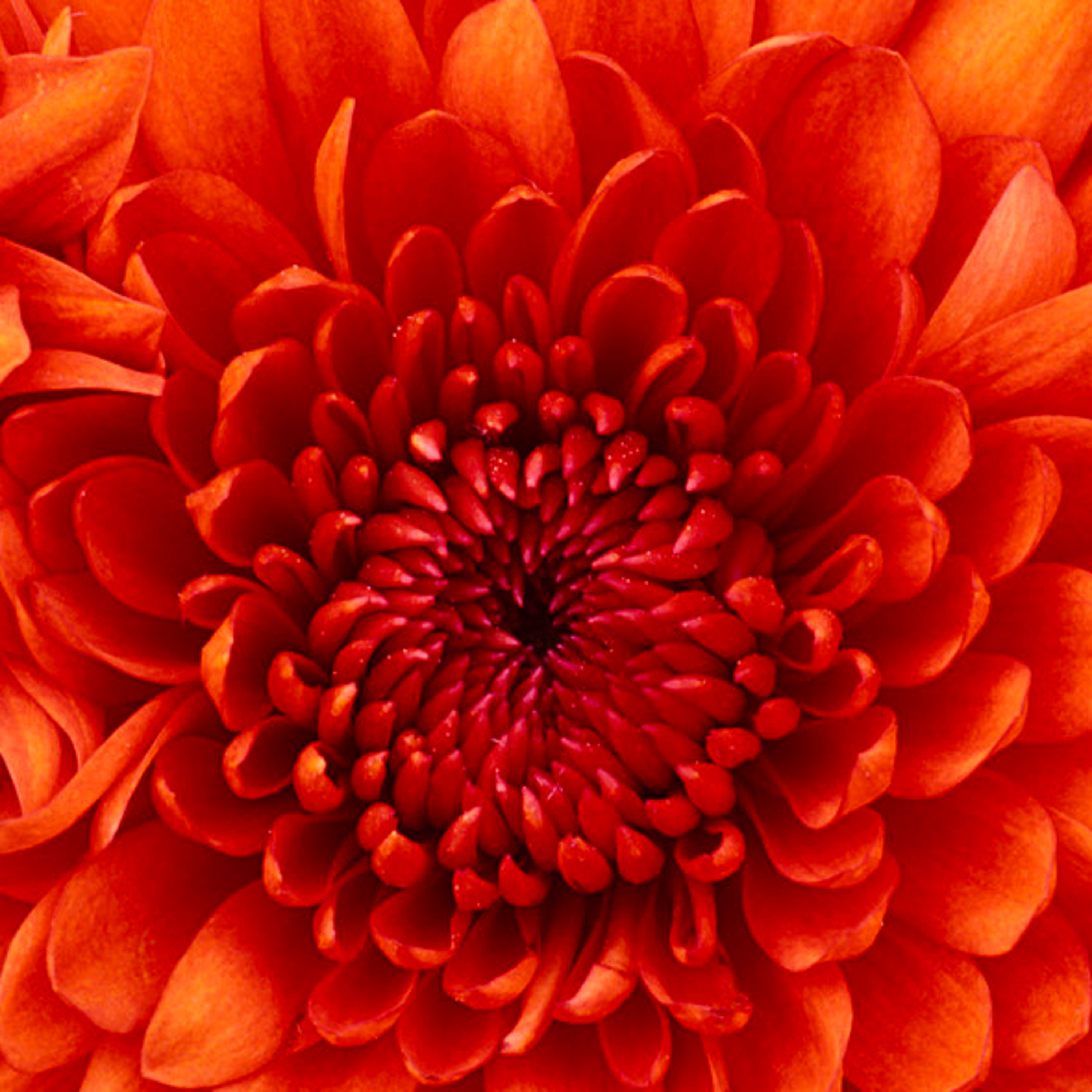 Recuperando Mi Naturaleza