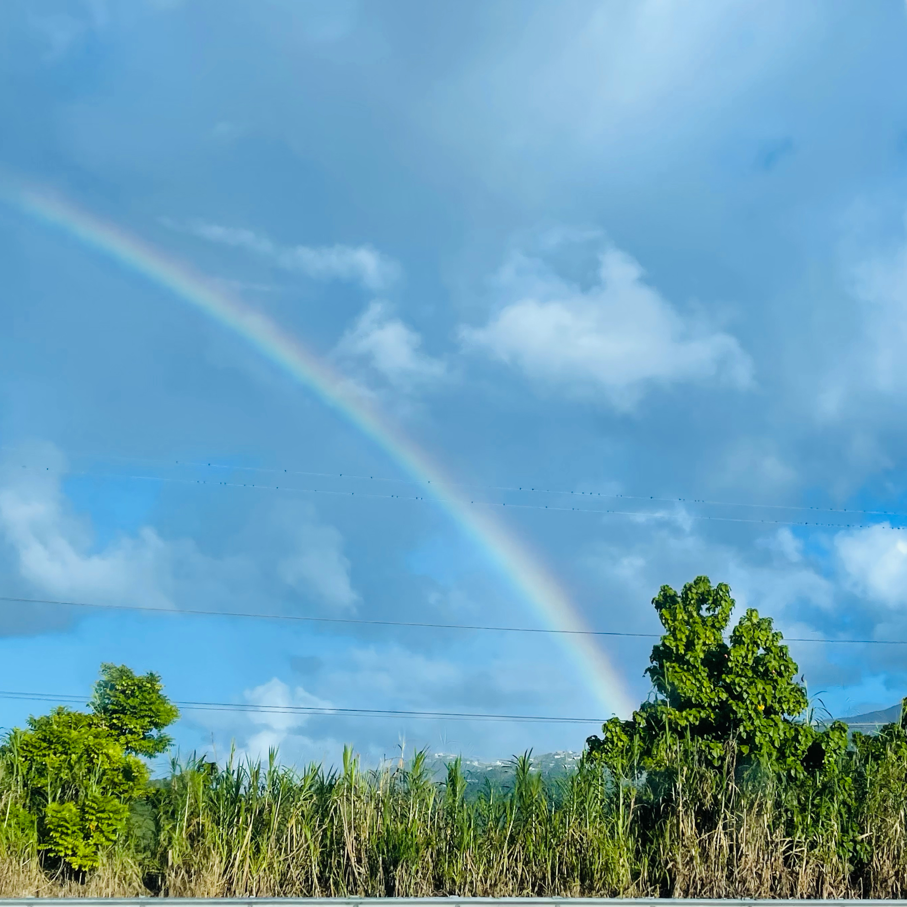 Reconociendo y manejando la ansiedad.