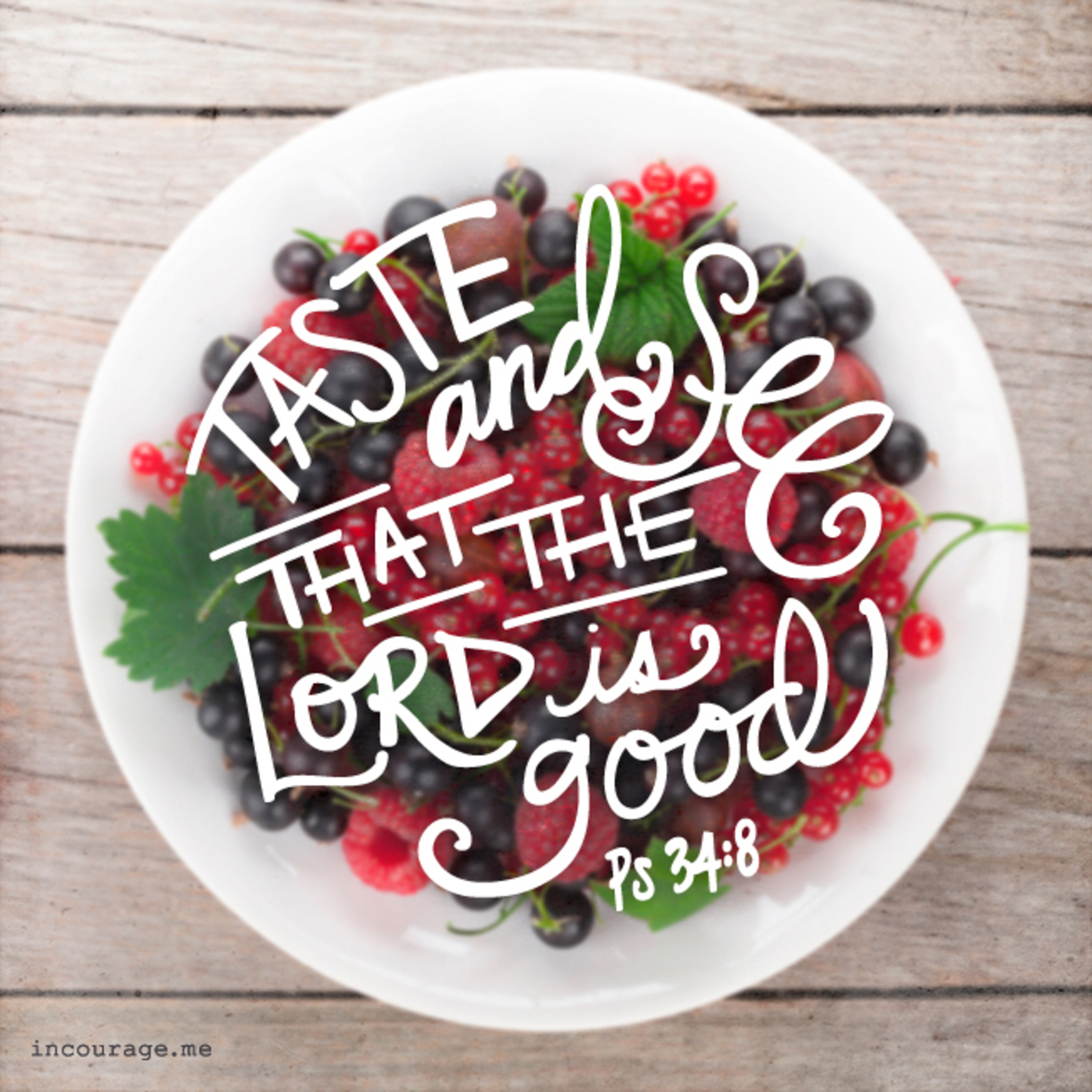 Taste and See Launching soon