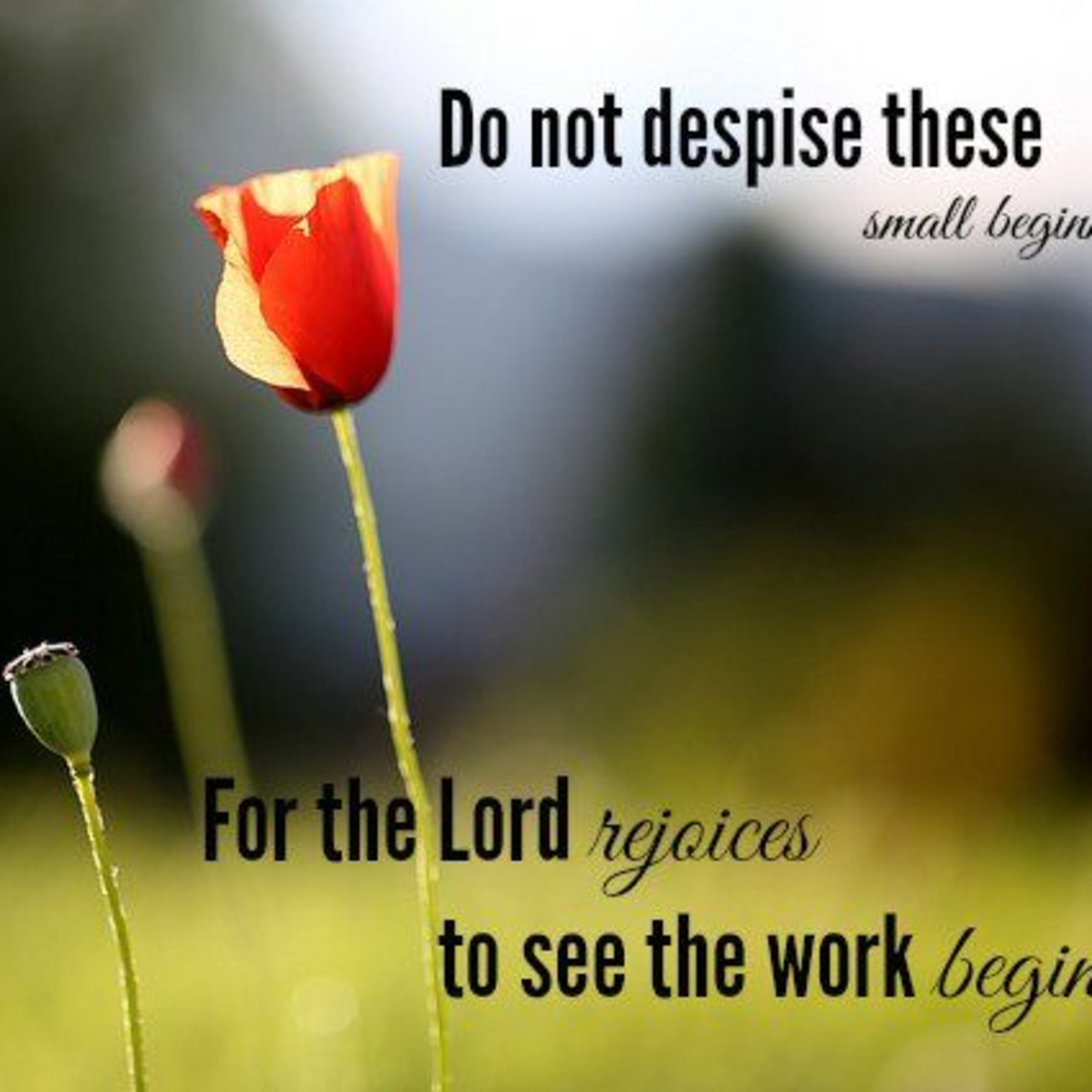 You’ve got to start somewhere