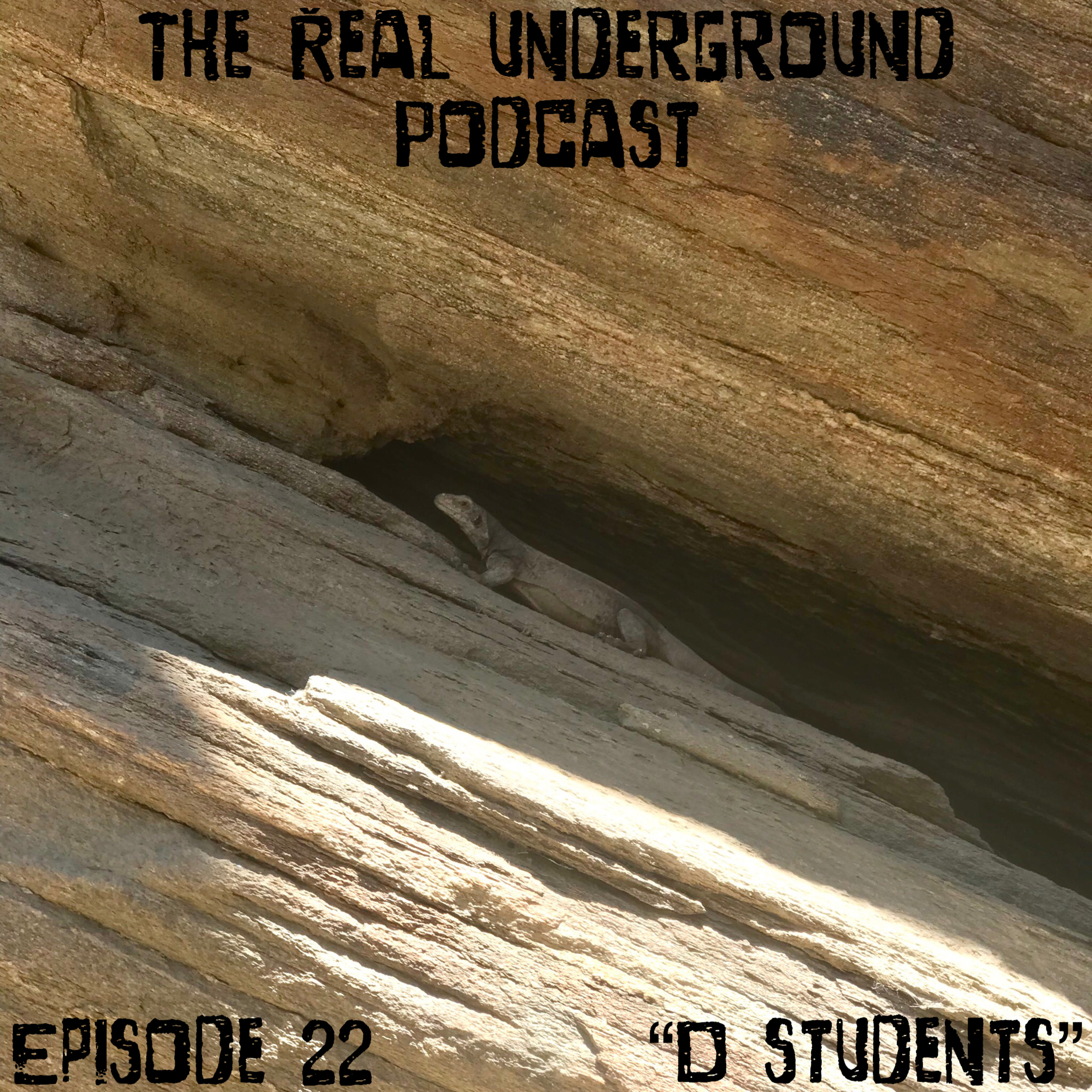 Episode 22 - “D students”