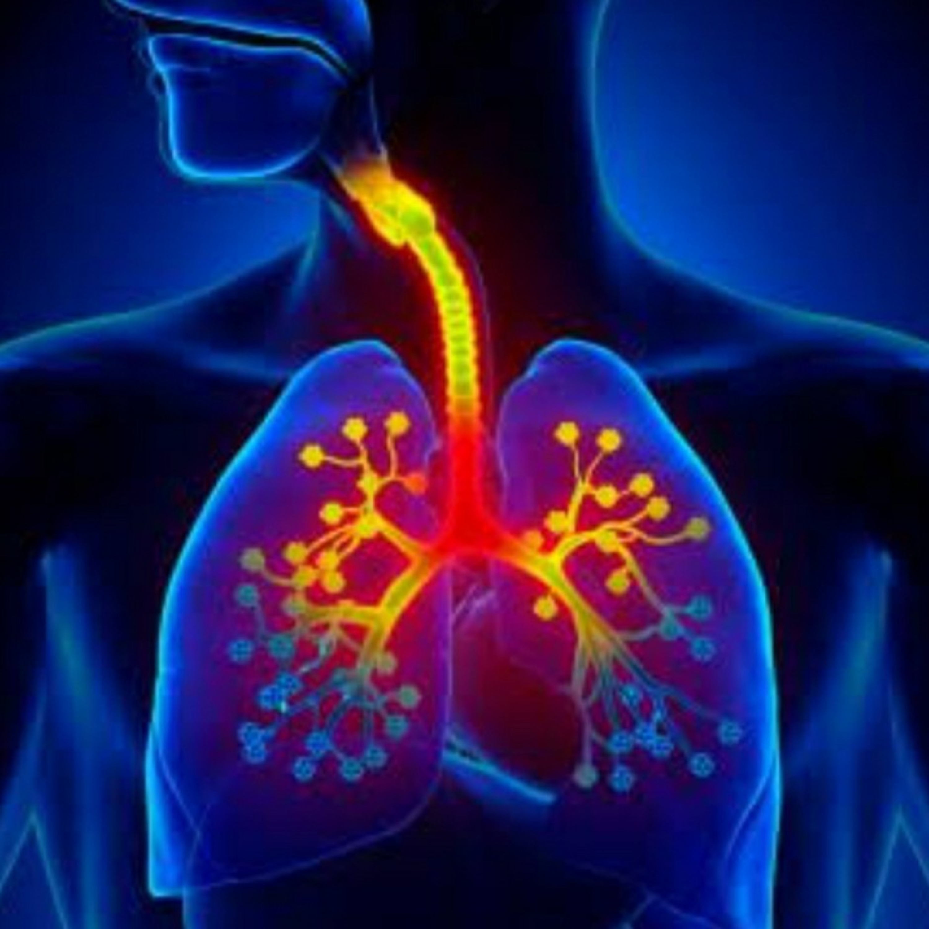 EMFERMEDADES RESPIRATORIAS 
