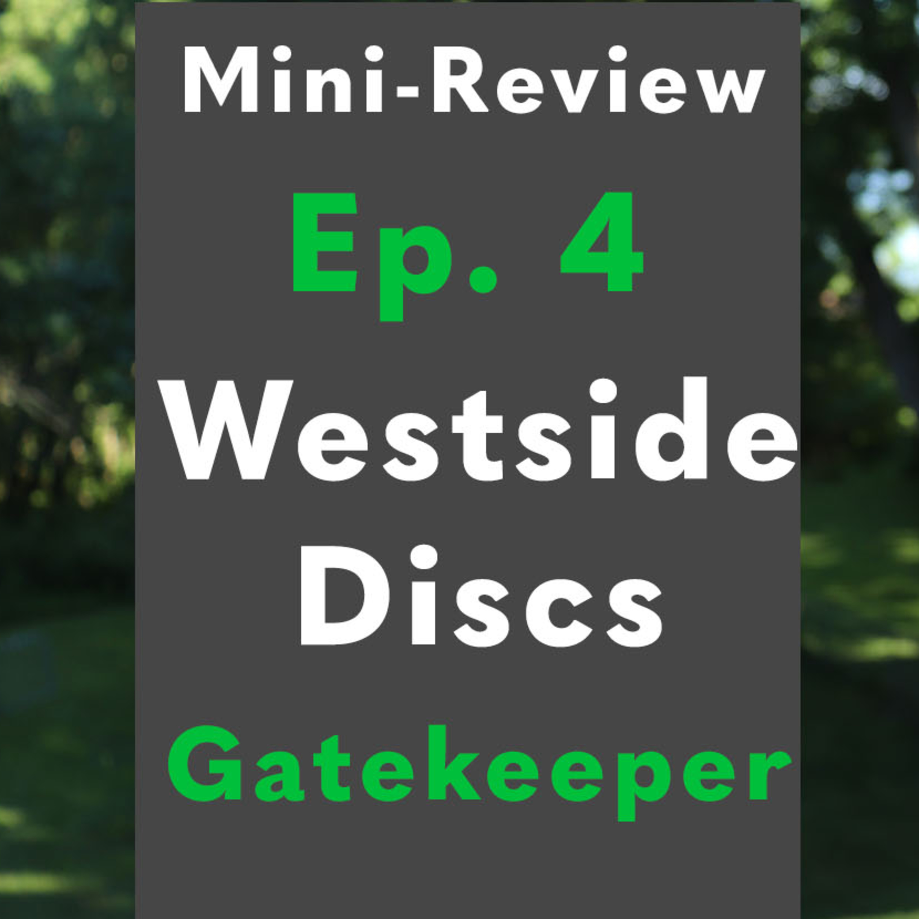 Mini Review Ep. 4: Westside Discs Gatekeeper | Rising Am Disc Golf