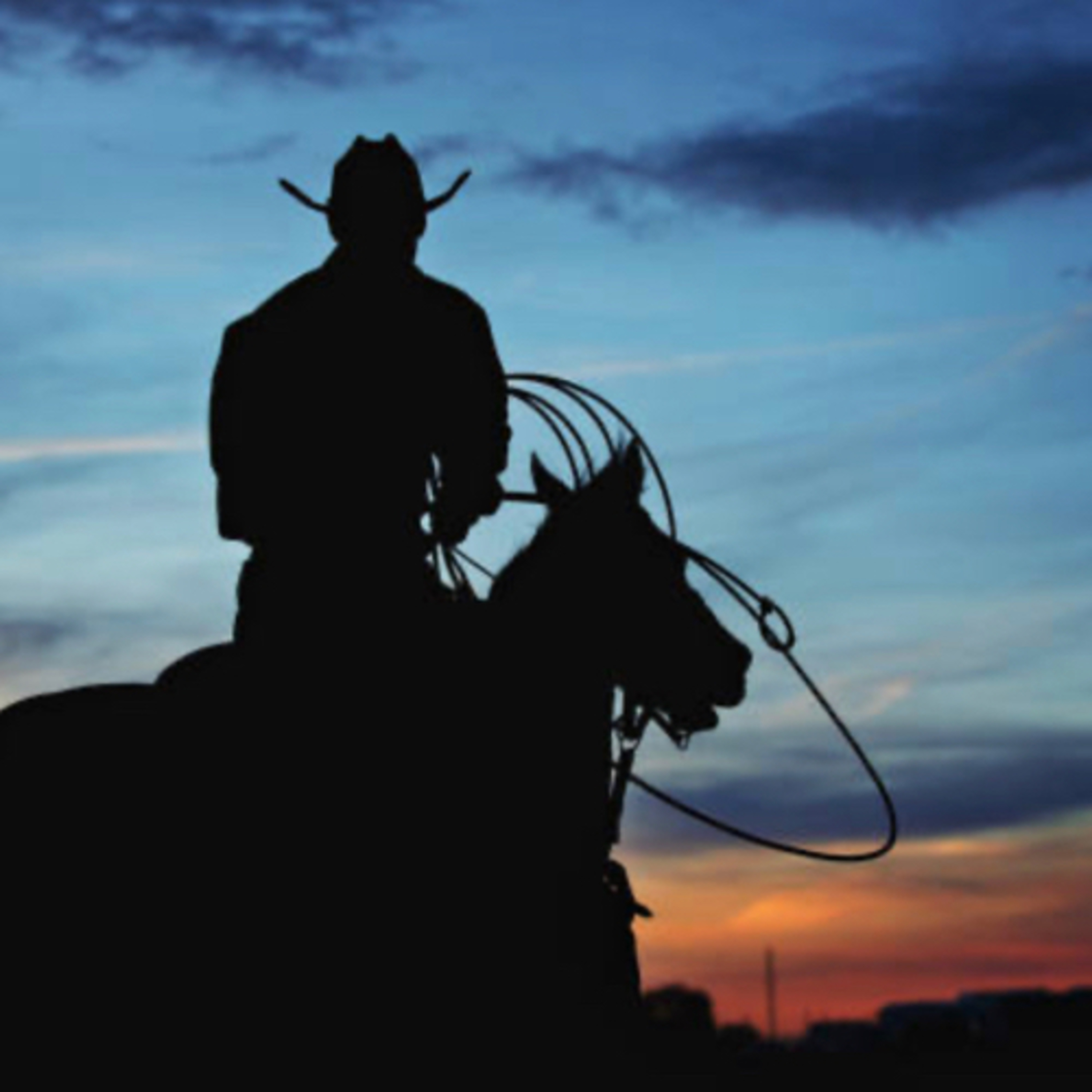 Rodeo episode artwork