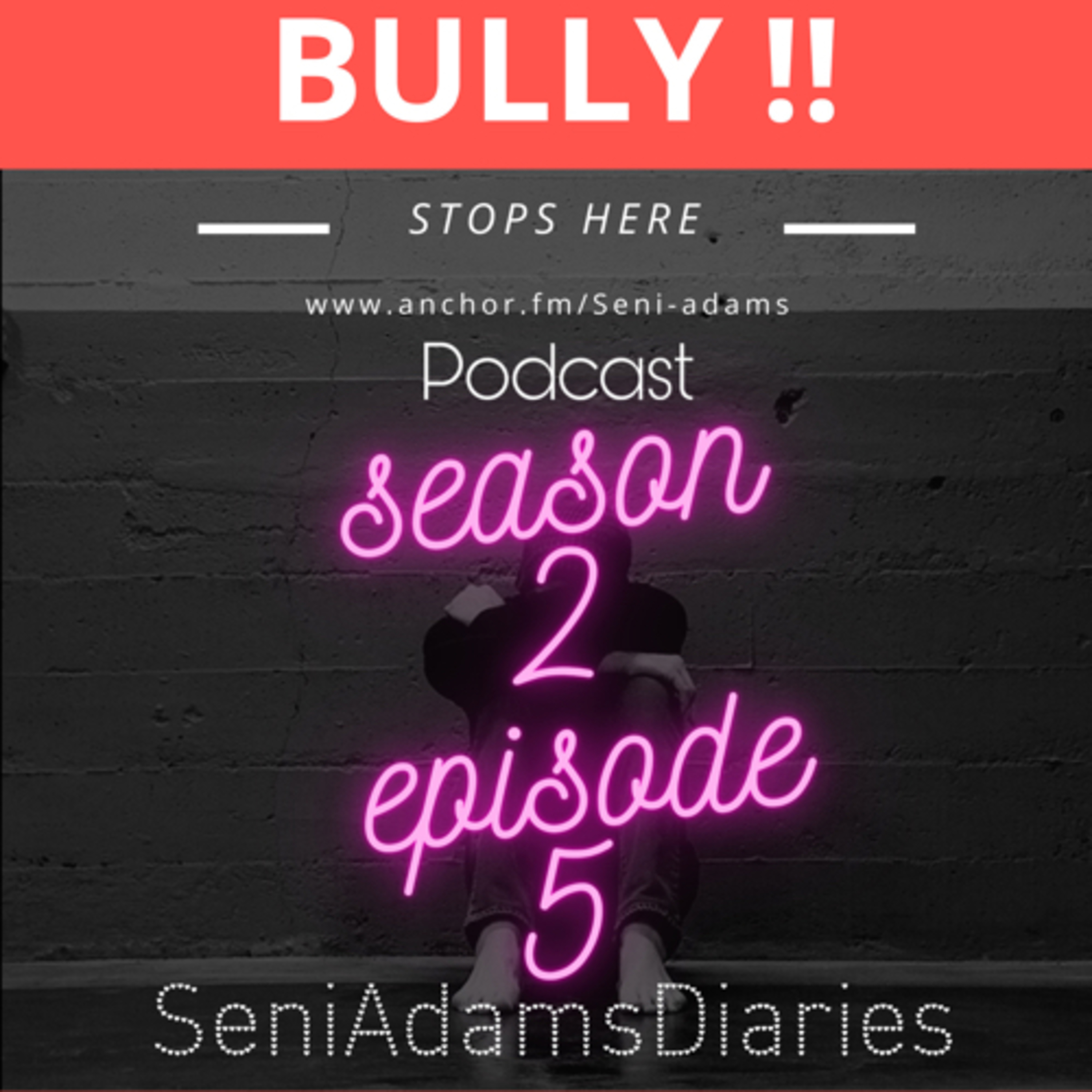 SeniAdamsDiaries
