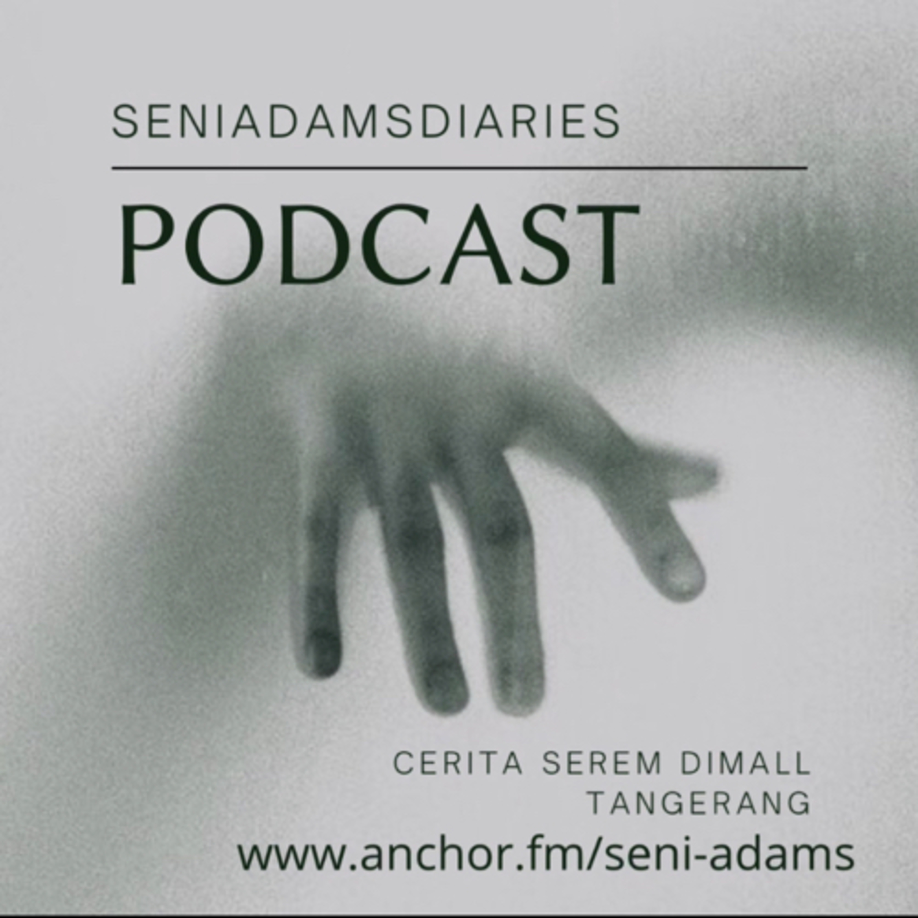 SeniAdamsDiaries