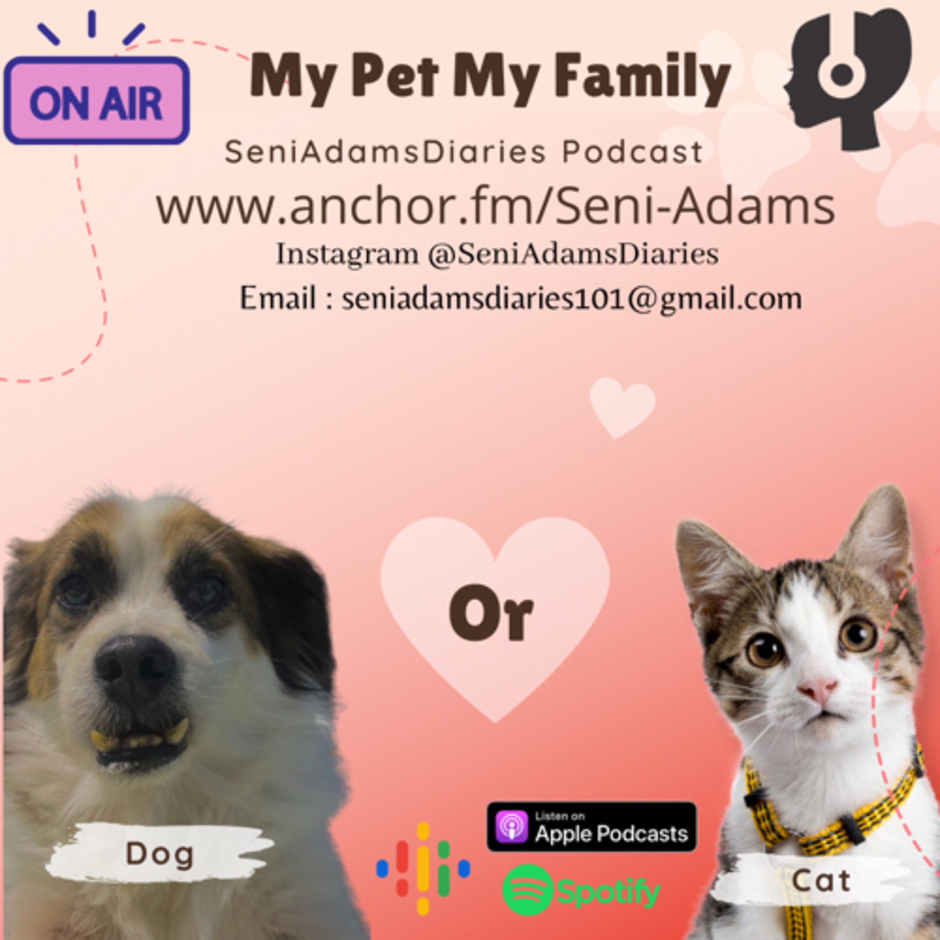 SeniAdamsDiaries