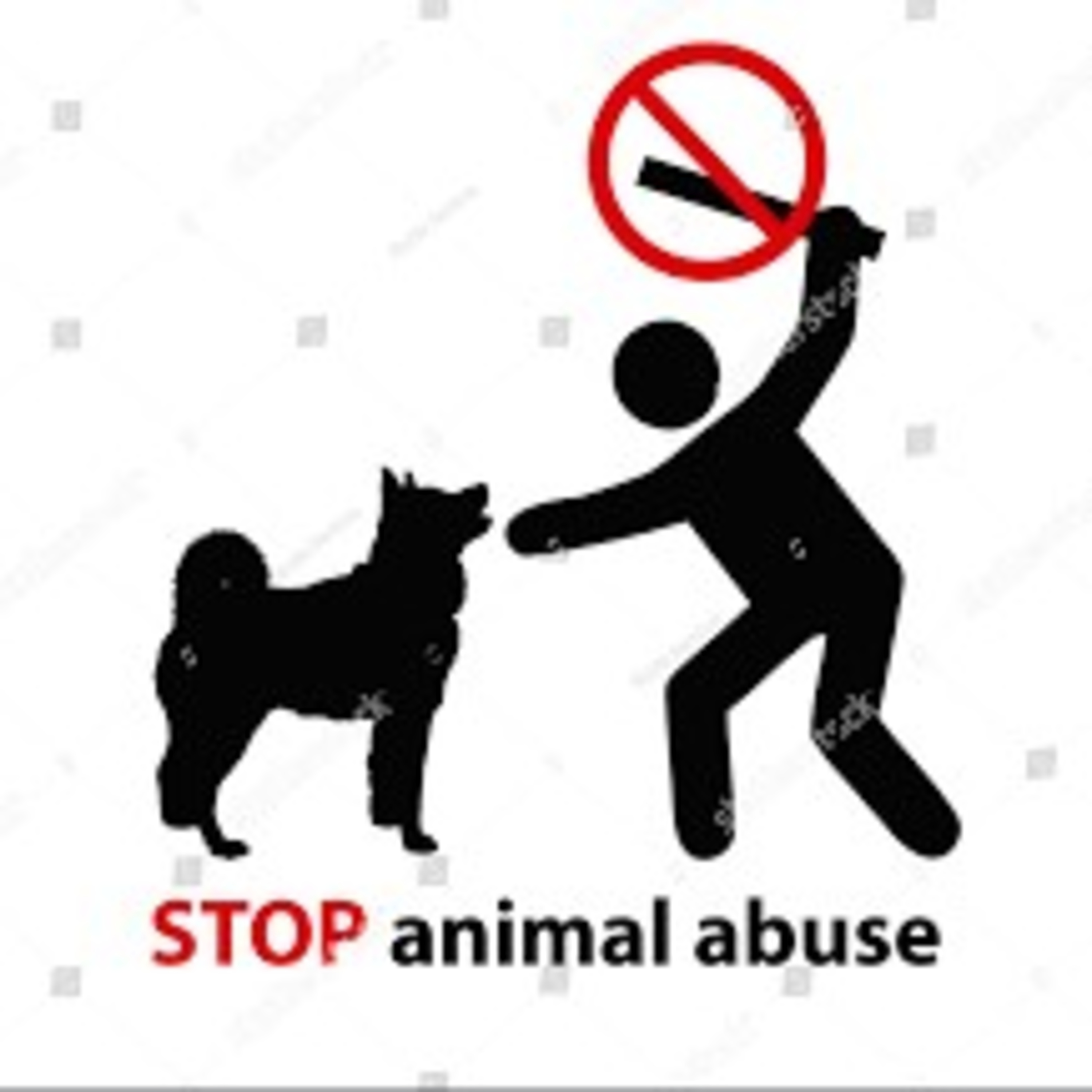 We are the voice ! Let's Join hands to stop animal abuse