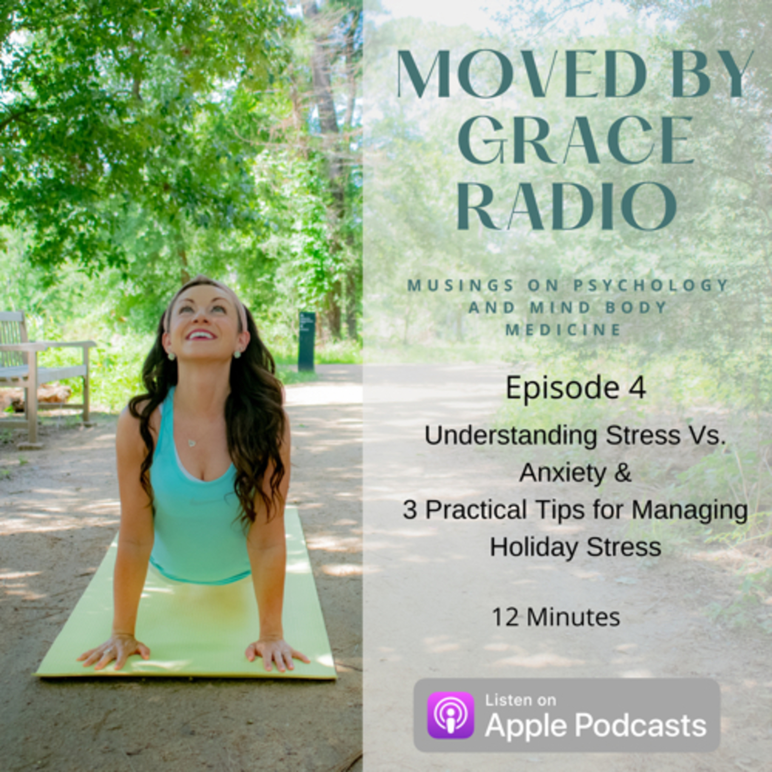Understanding Stress Vs. Anxiety &
3 Practical Tips for Managing Holiday Stress episode artwork