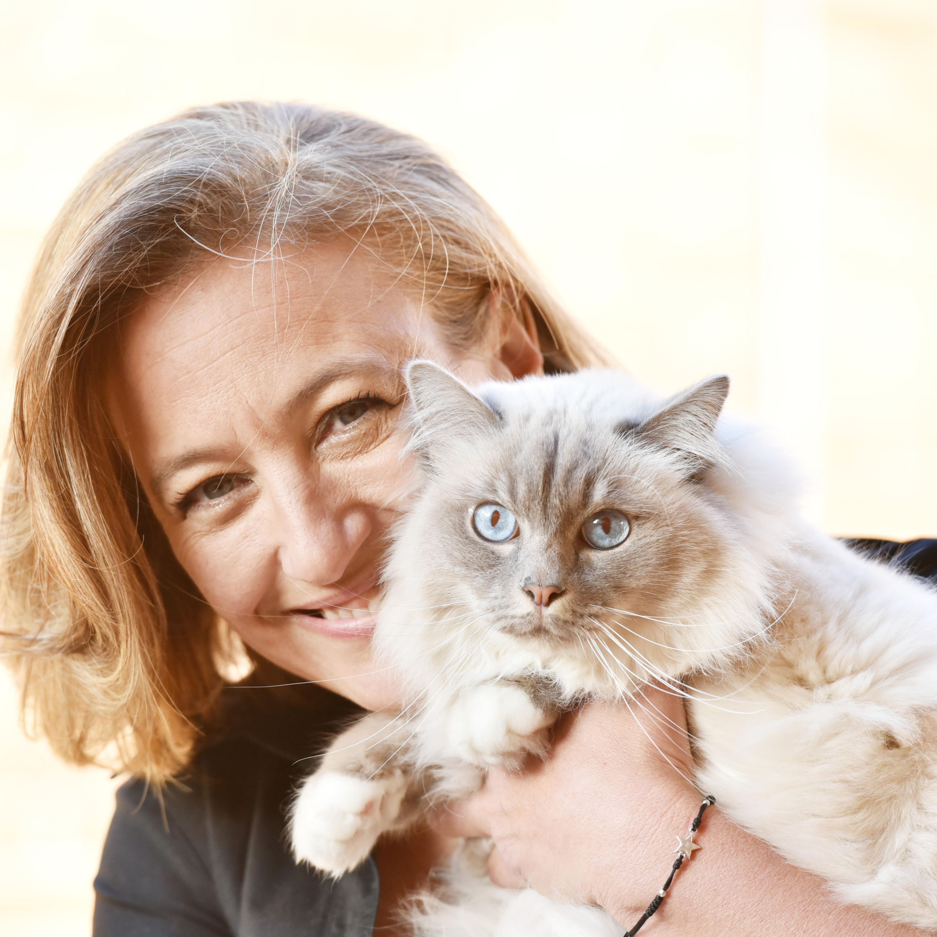 LA GATERA Medicina Felina para veterinarios... y Gatocuestiones para propietarios
