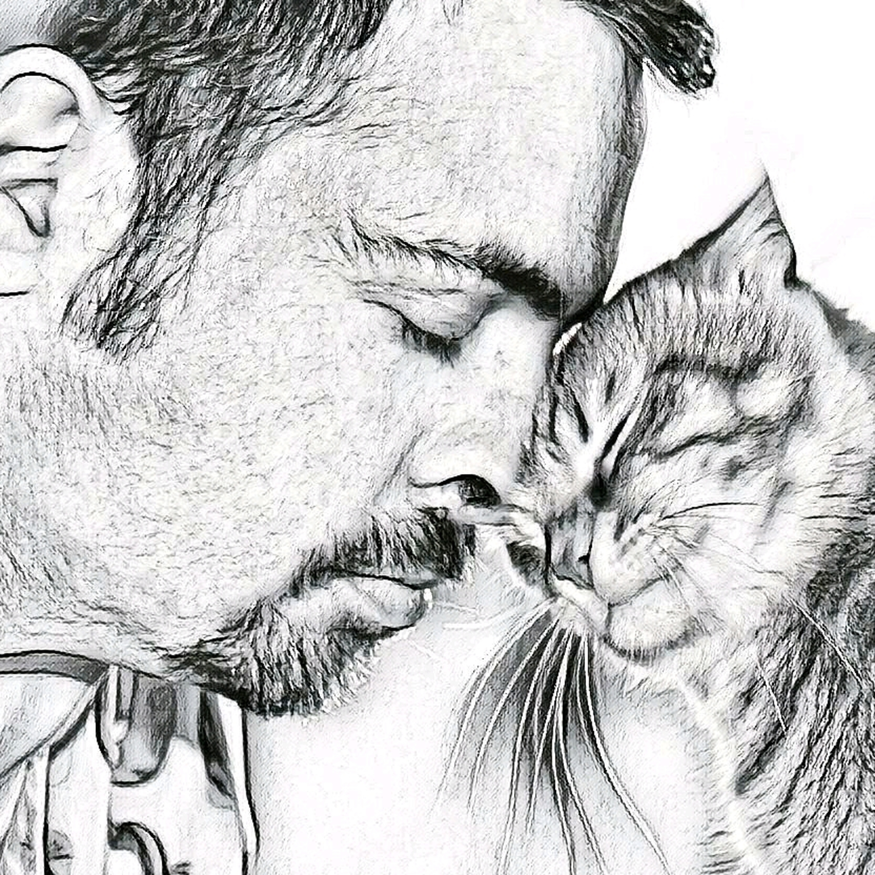 LA GATERA Medicina Felina para veterinarios... y Gatocuestiones para propietarios