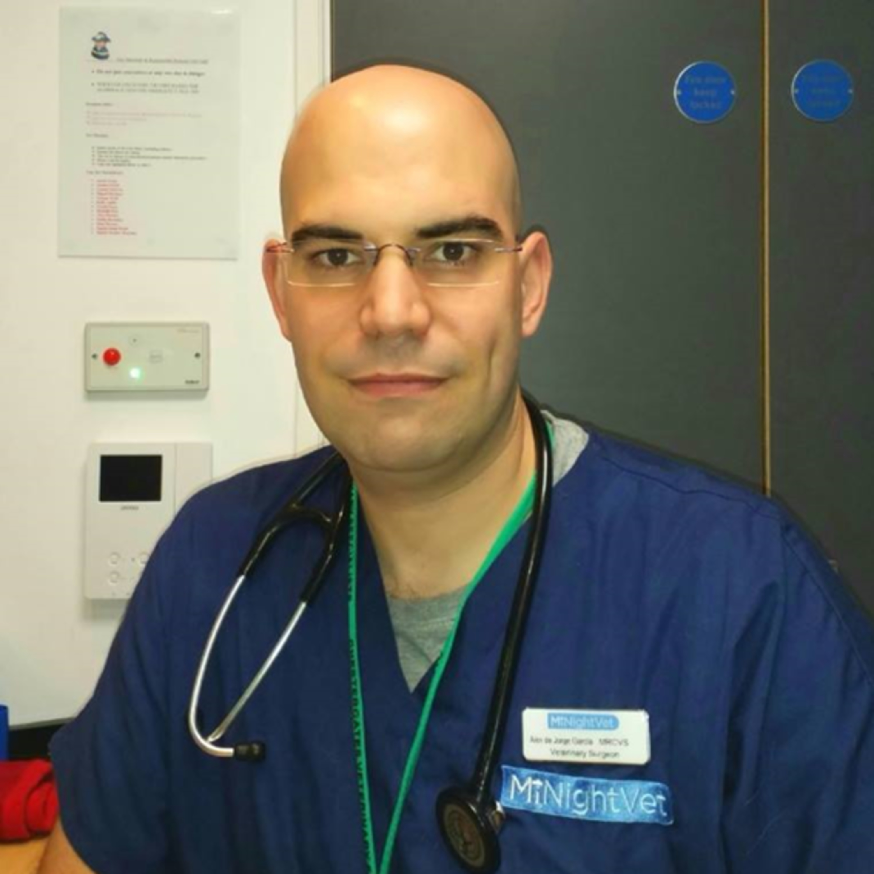 LA GATERA Medicina Felina para veterinarios... y Gatocuestiones para propietarios