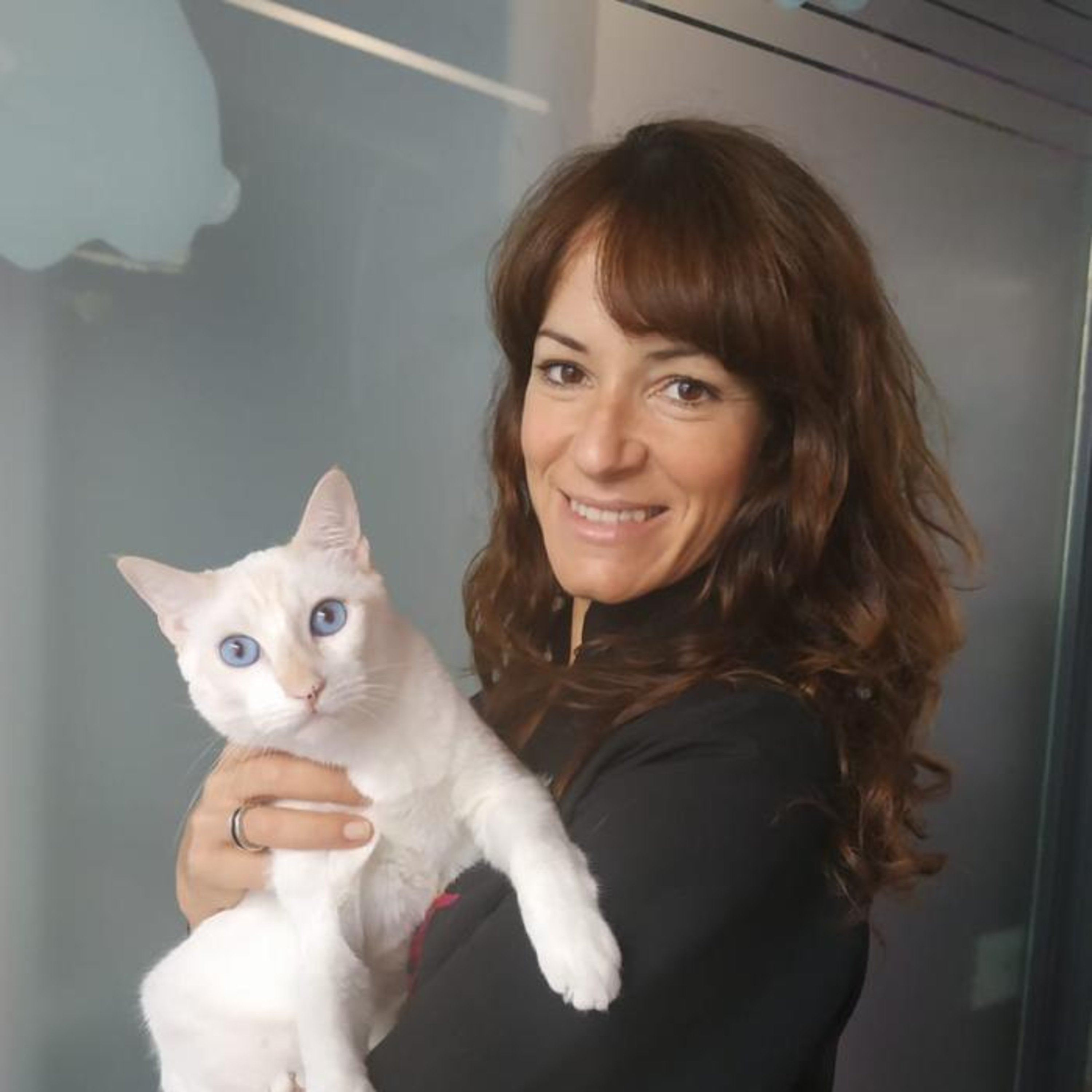 LA GATERA Medicina Felina para veterinarios... y Gatocuestiones para propietarios