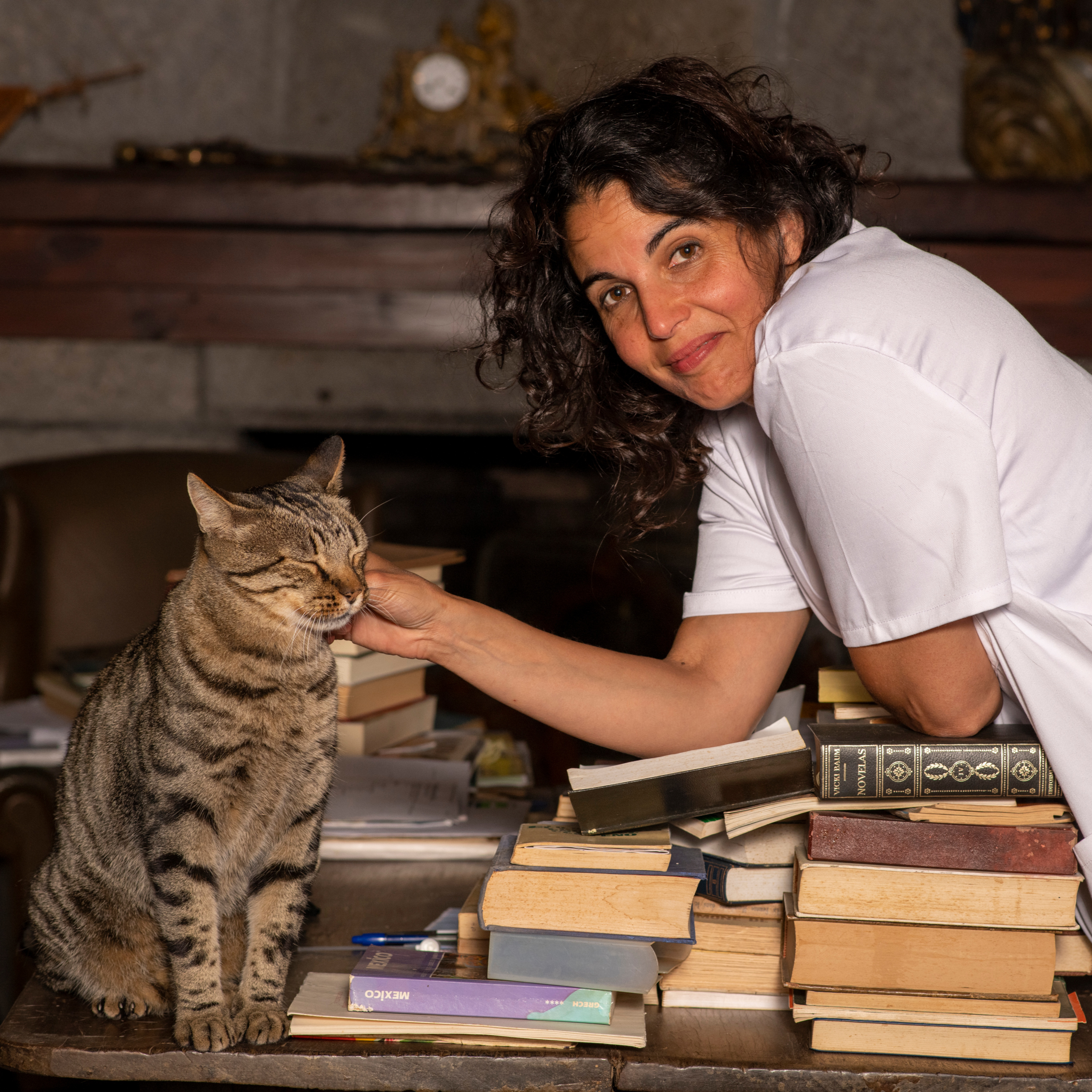 LA GATERA Medicina Felina para veterinarios... y Gatocuestiones para propietarios