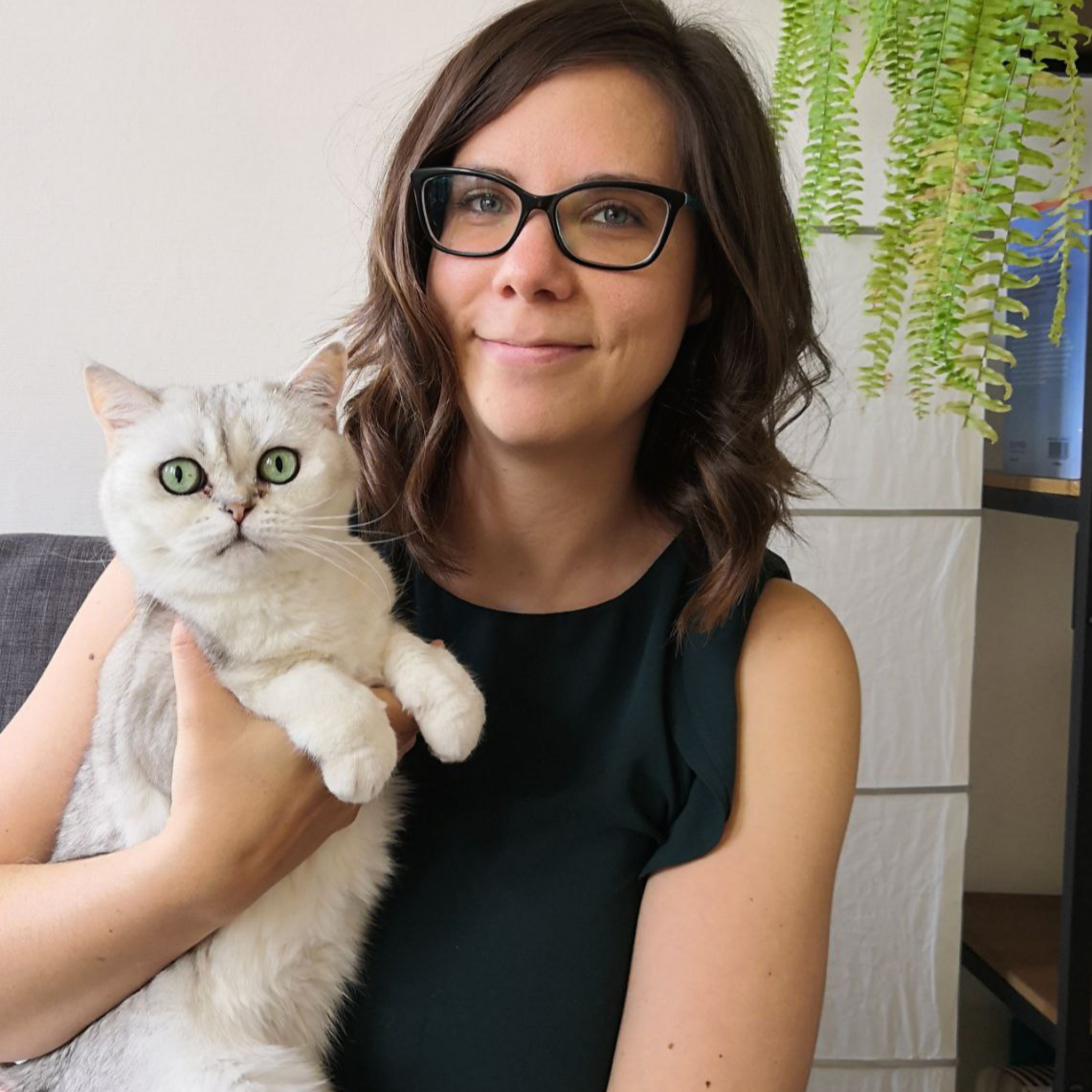 LA GATERA Medicina Felina para veterinarios... y Gatocuestiones para propietarios
