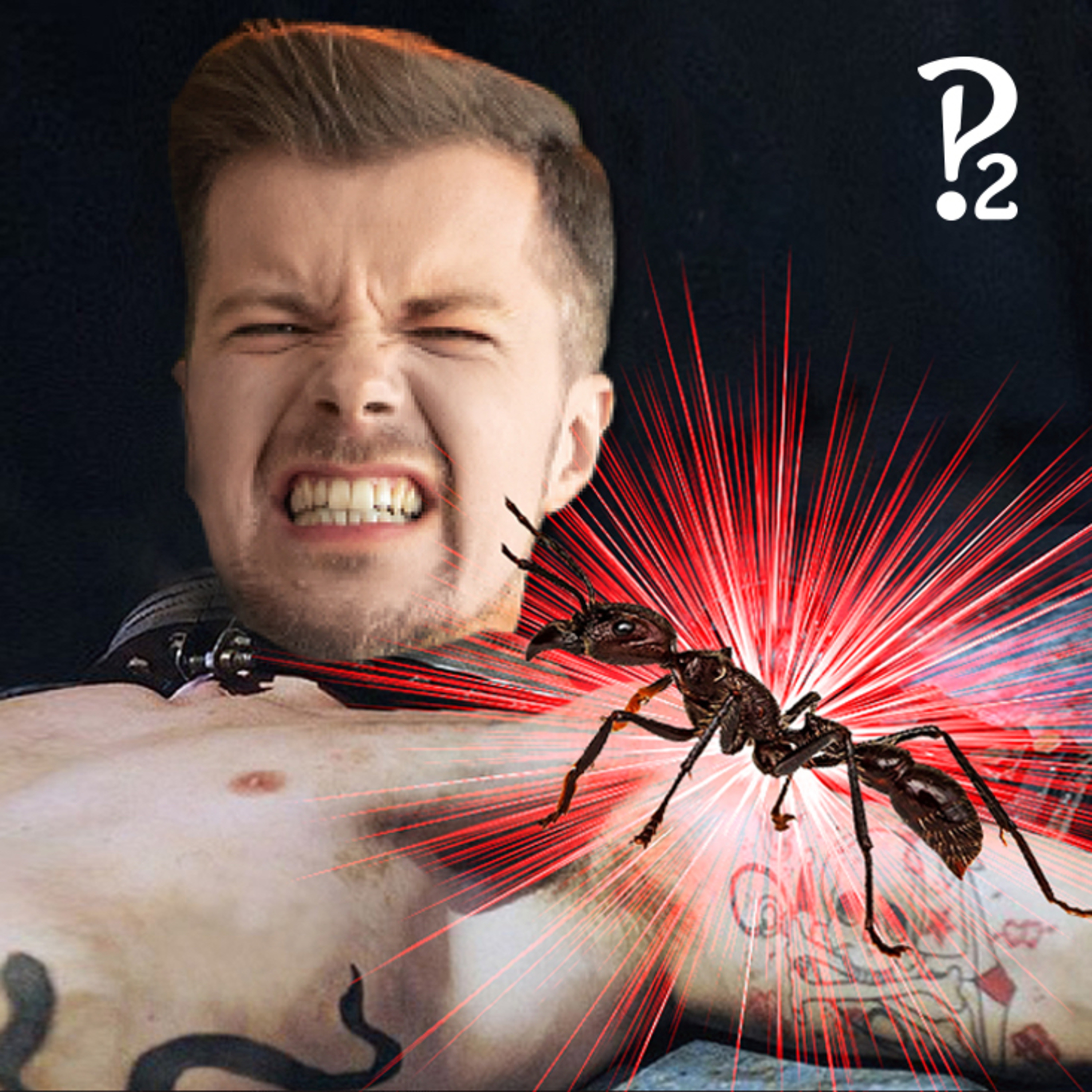 Jaki jest NAJGORSZY BÓL na świecie?