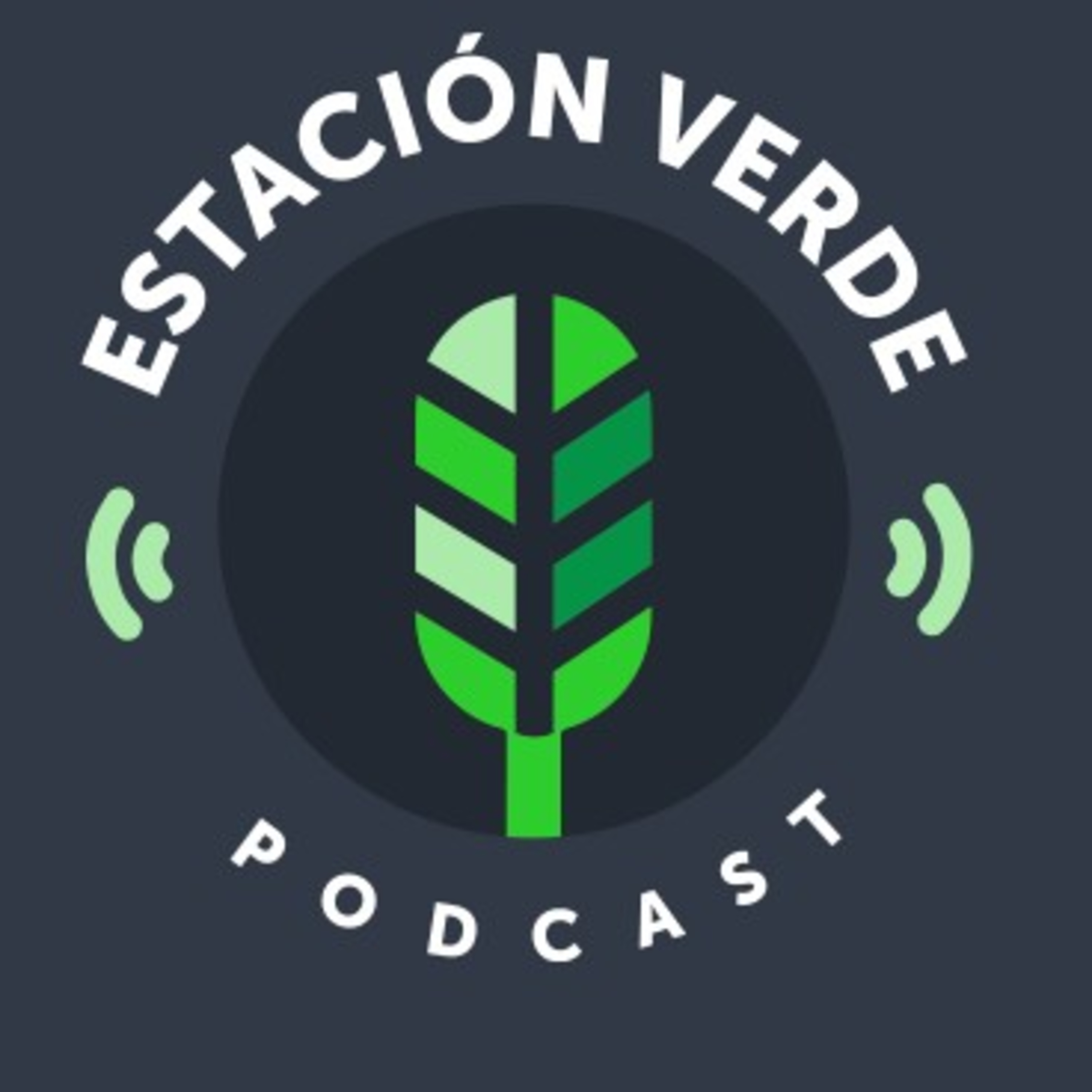 CONTAMINACION AL AIRE MI PRIMER PODCAST /LA VERDAD HACIA EL MUNDO/