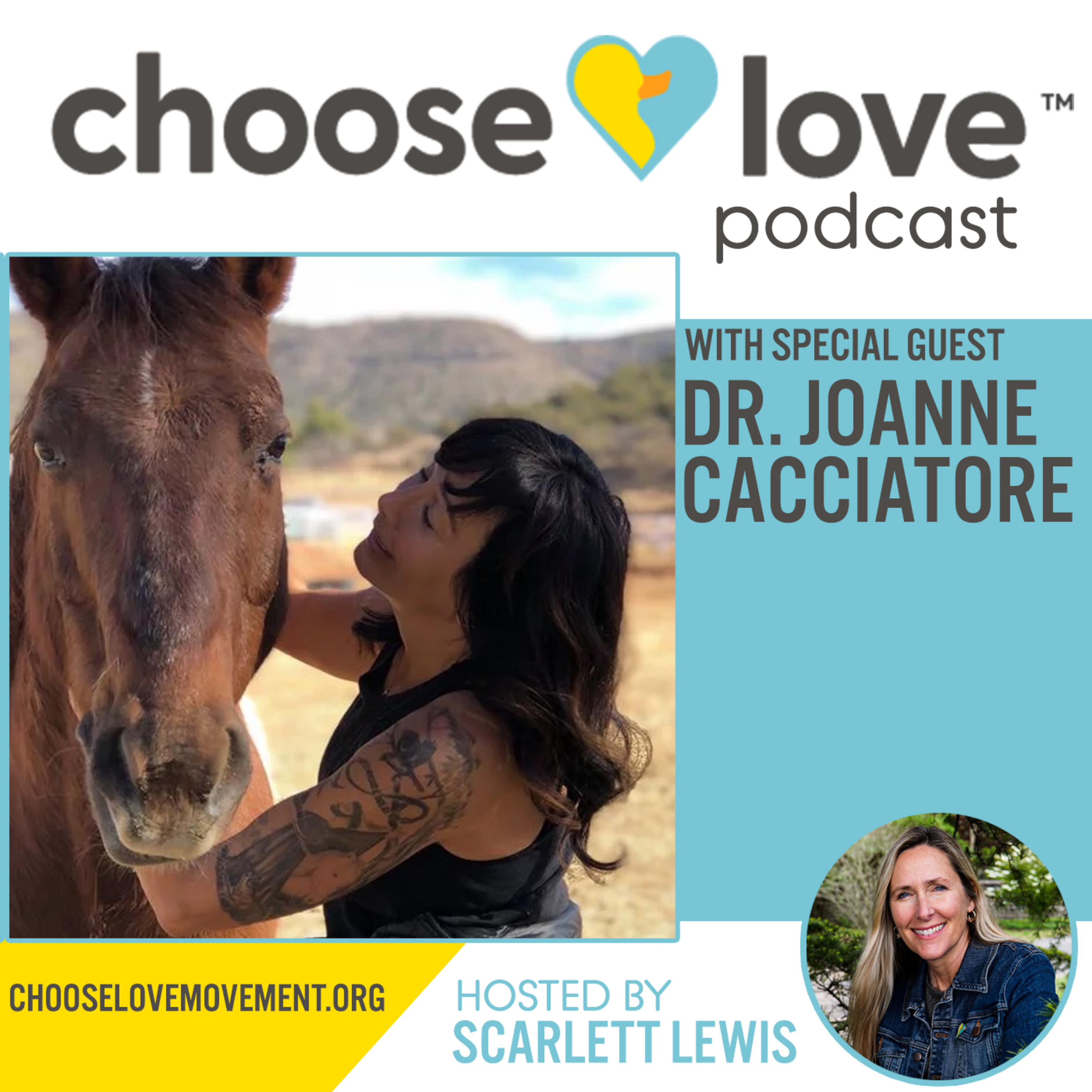 #52 - Dr. Joanne Cacciatore, Groundbreaking Study on Mass Grief After Sandy Hook episode artwork