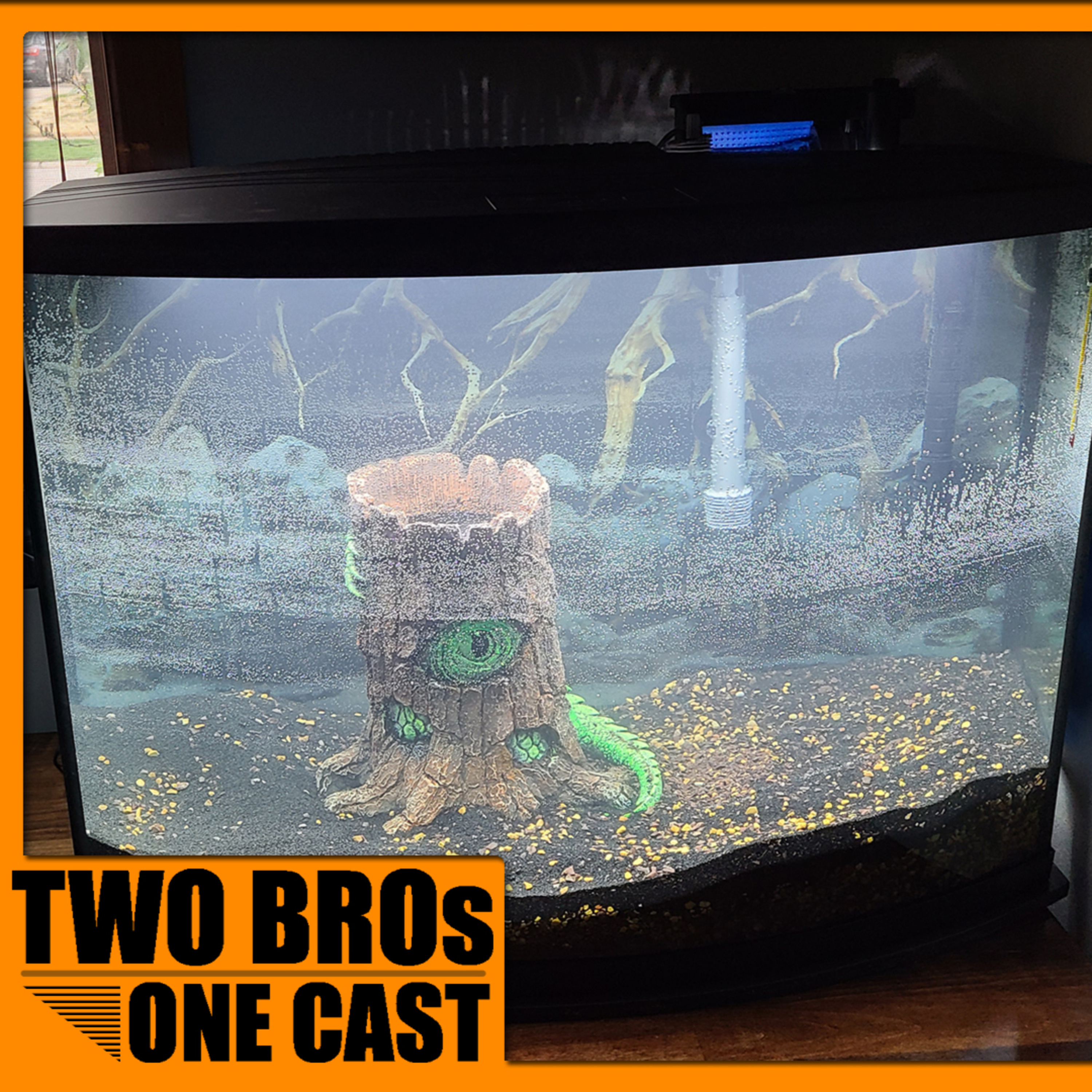 Two Bros One Cast