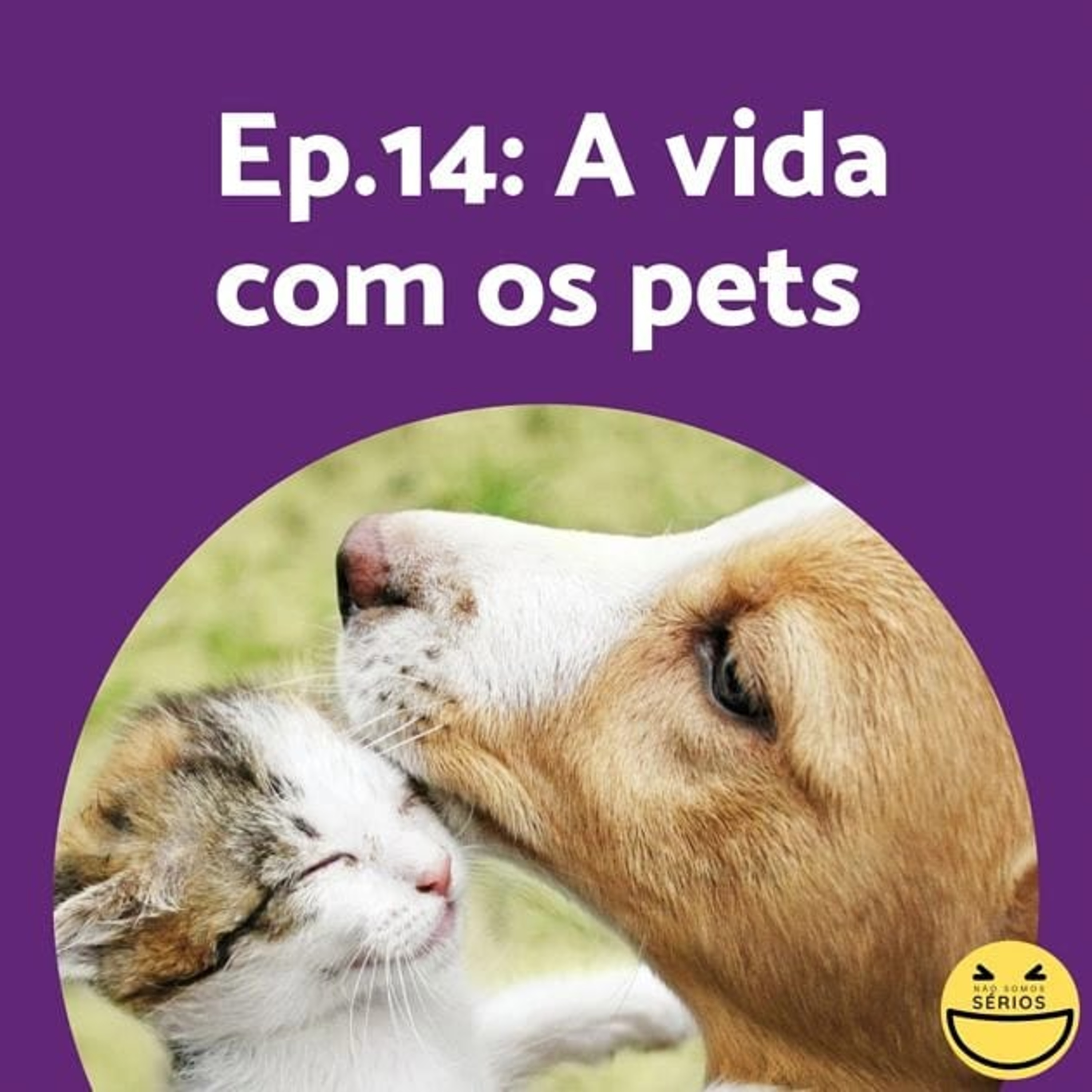 Não somos sérios
