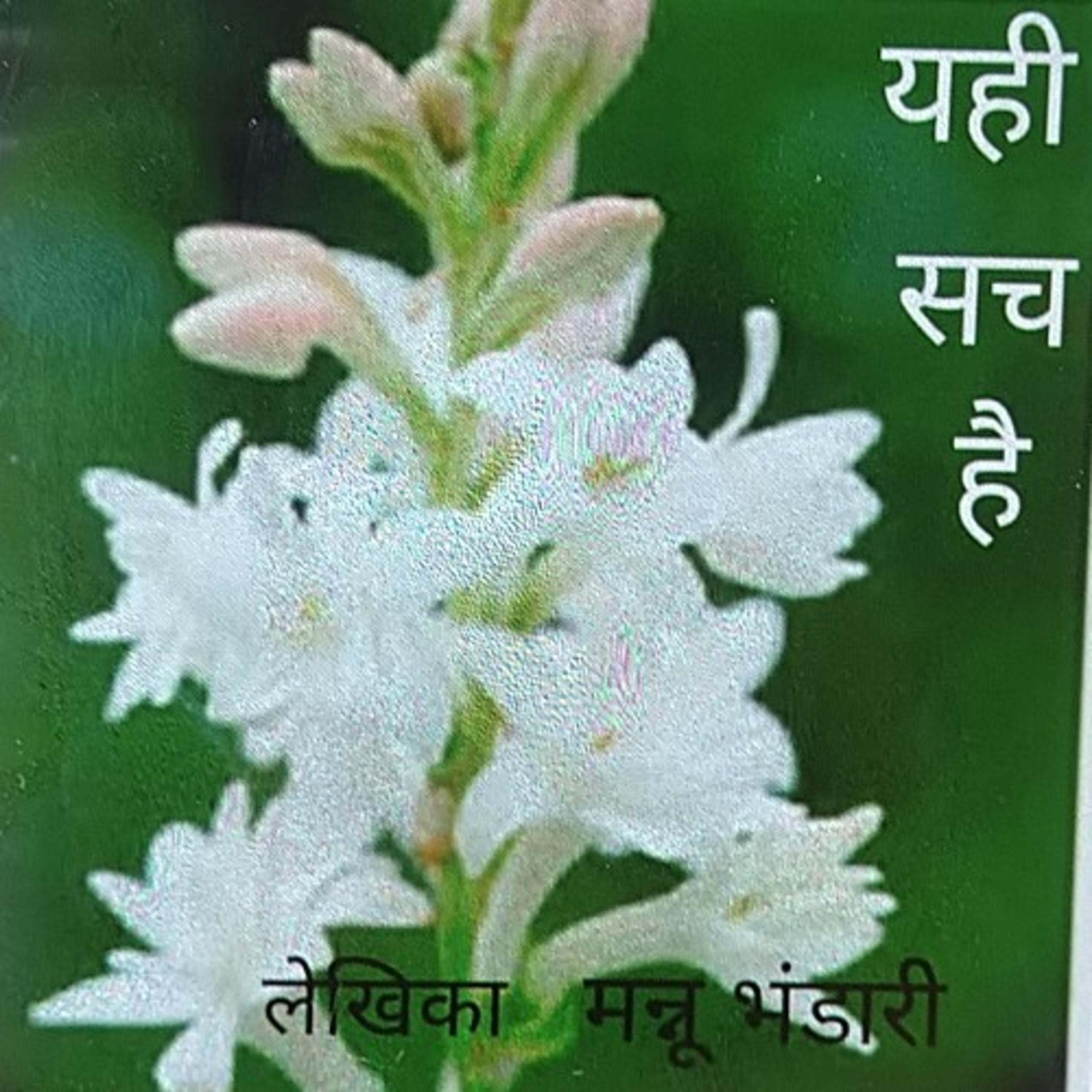 यही सच है : मन्नू भंडारी (कहानी)