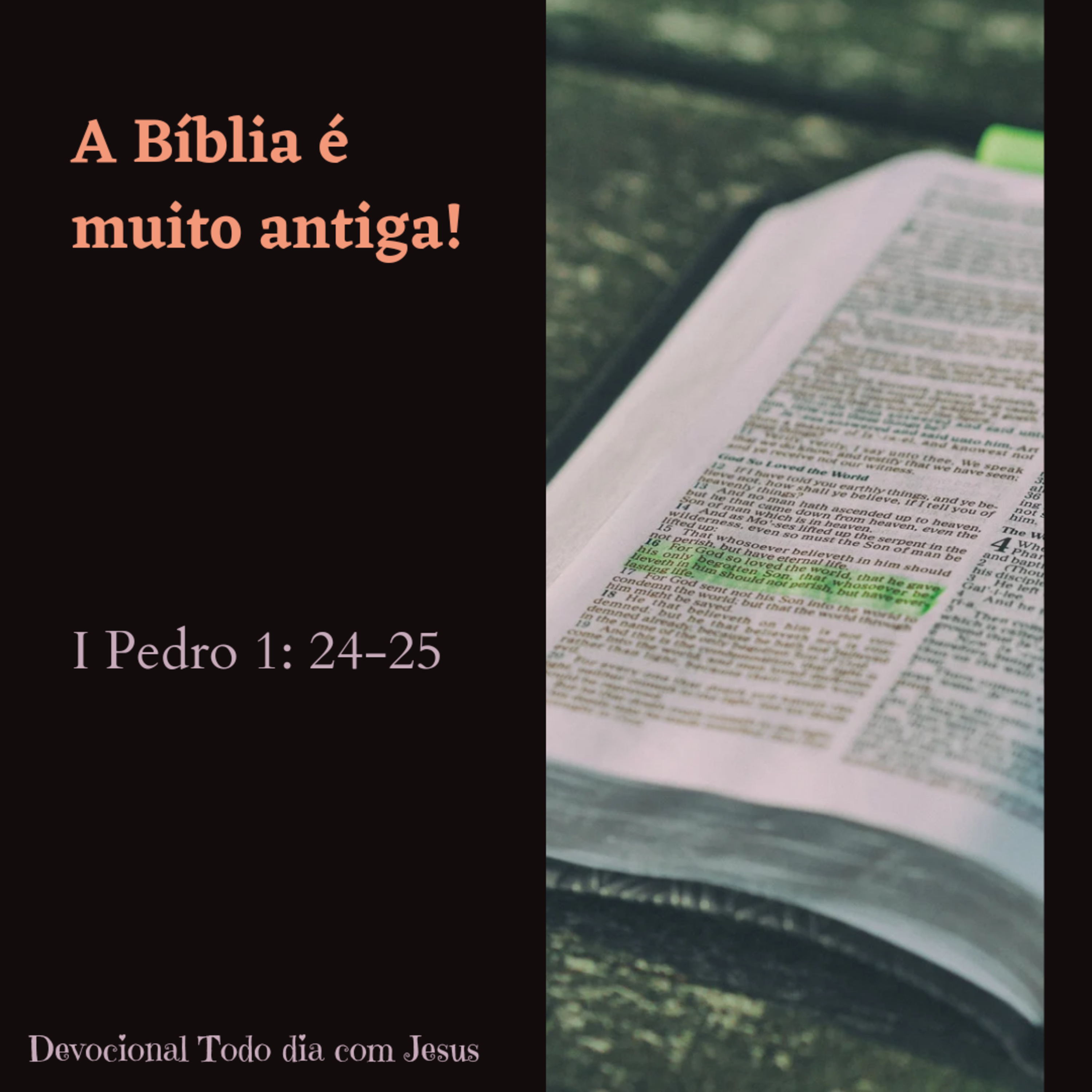 Todo dia com Jesus!