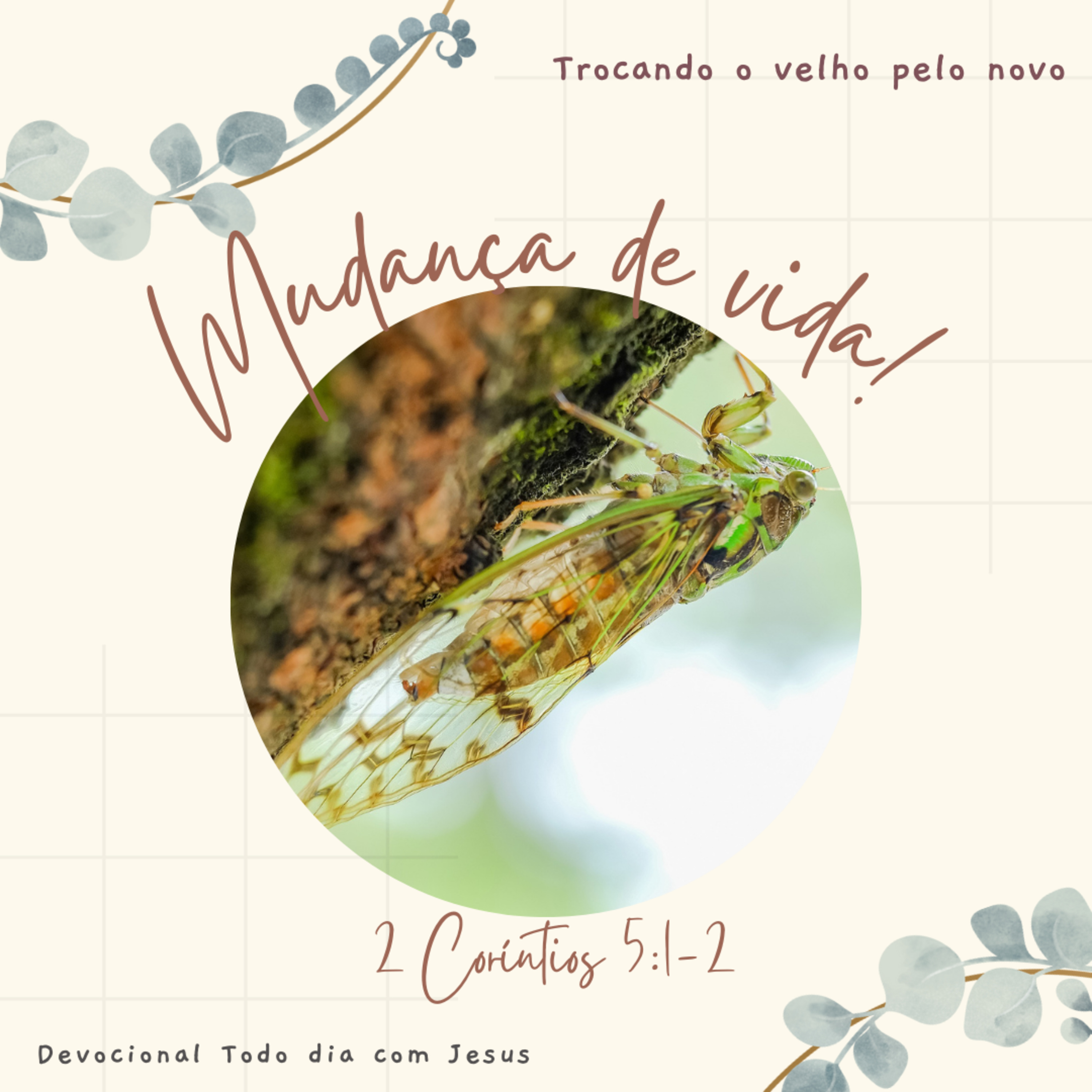 Todo dia com Jesus!