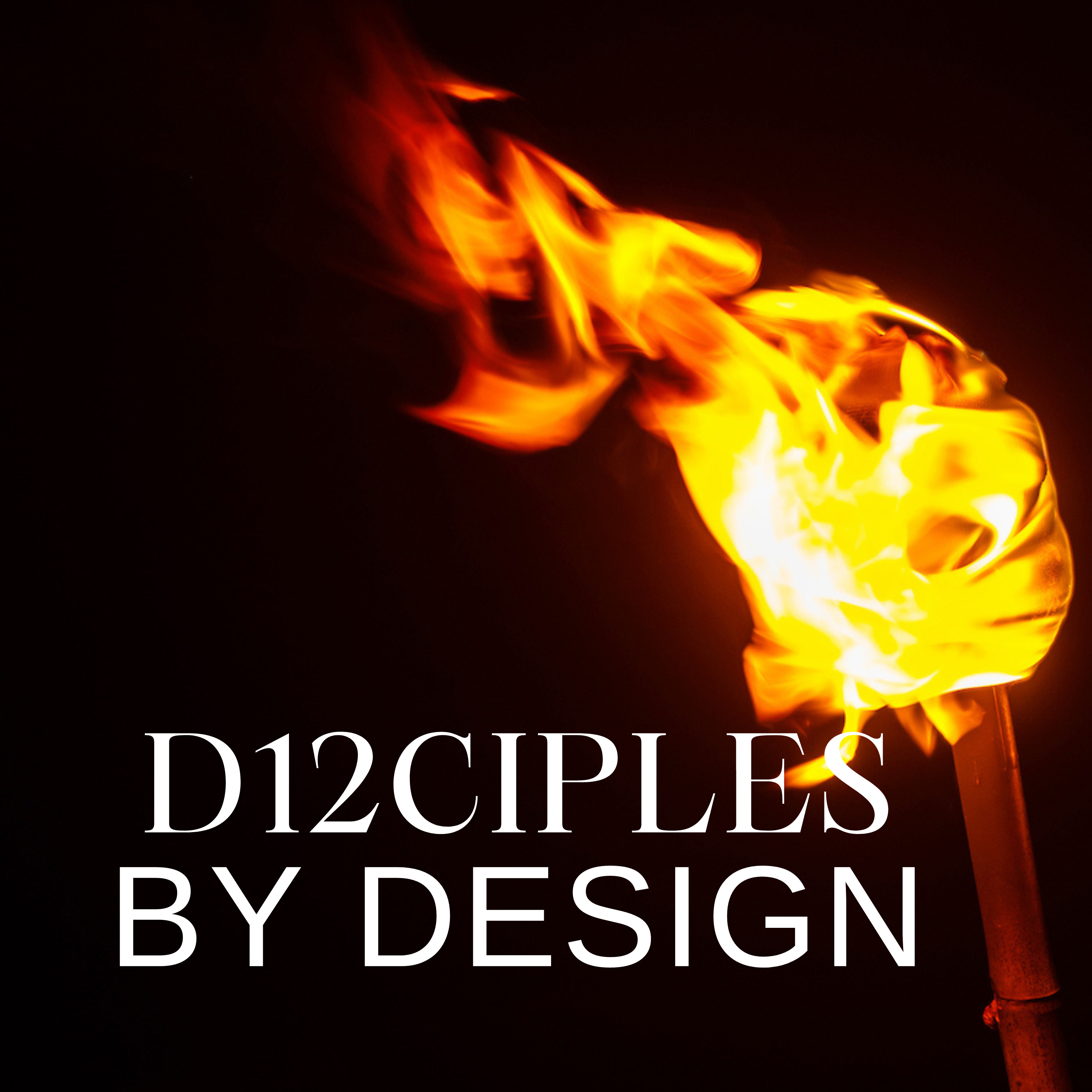 D12CIPLES By Design