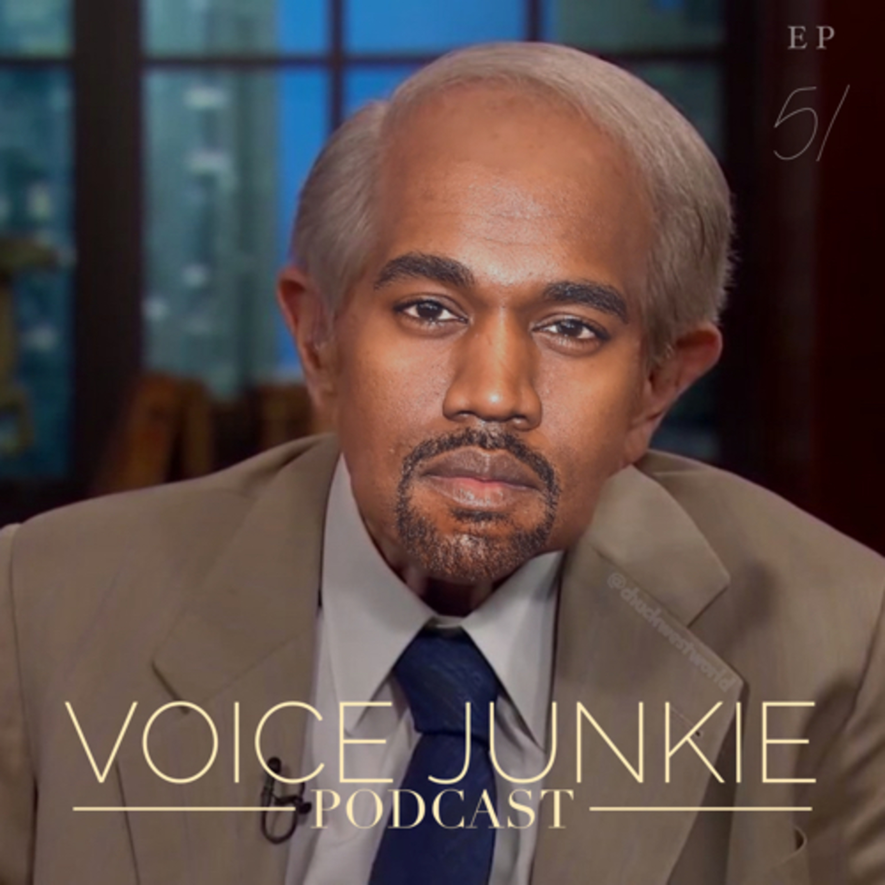 Voice Junkie