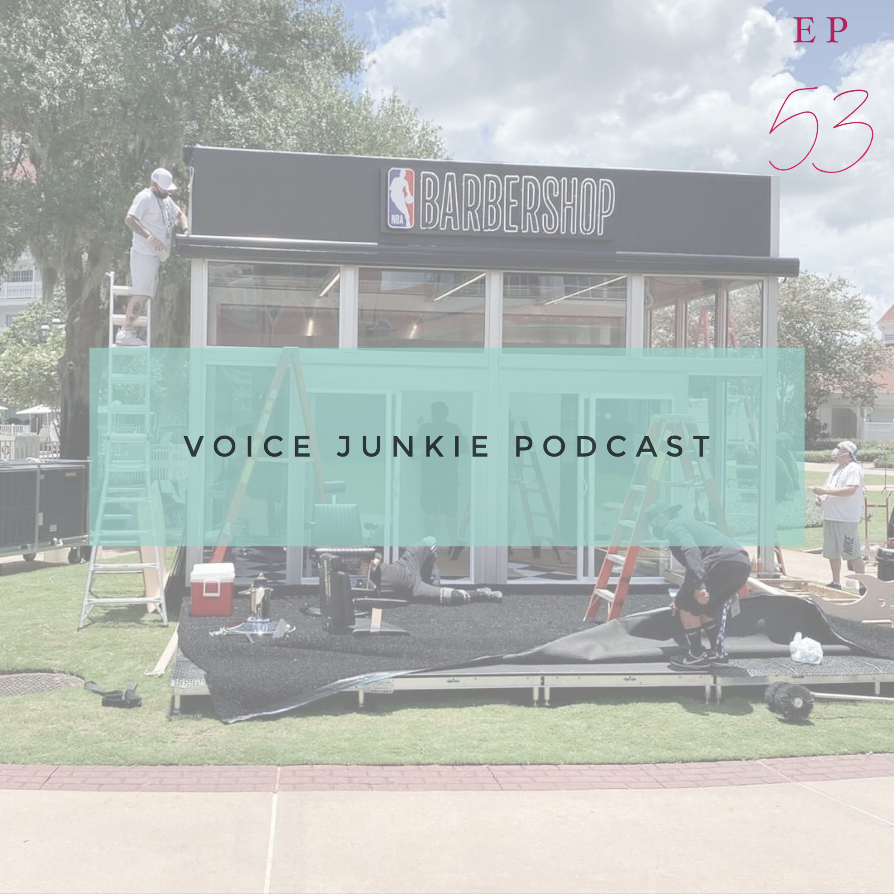 Voice Junkie