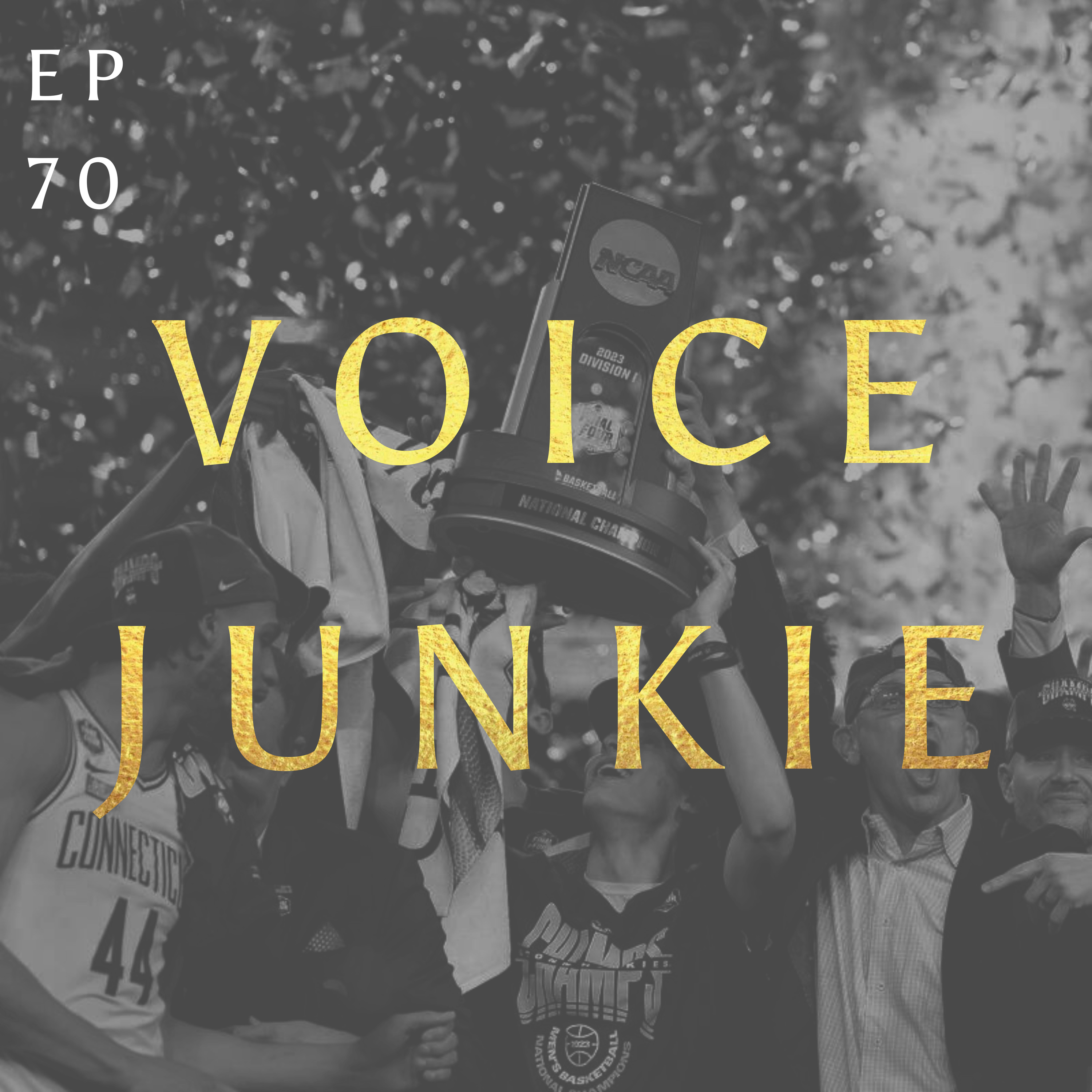 Voice Junkie