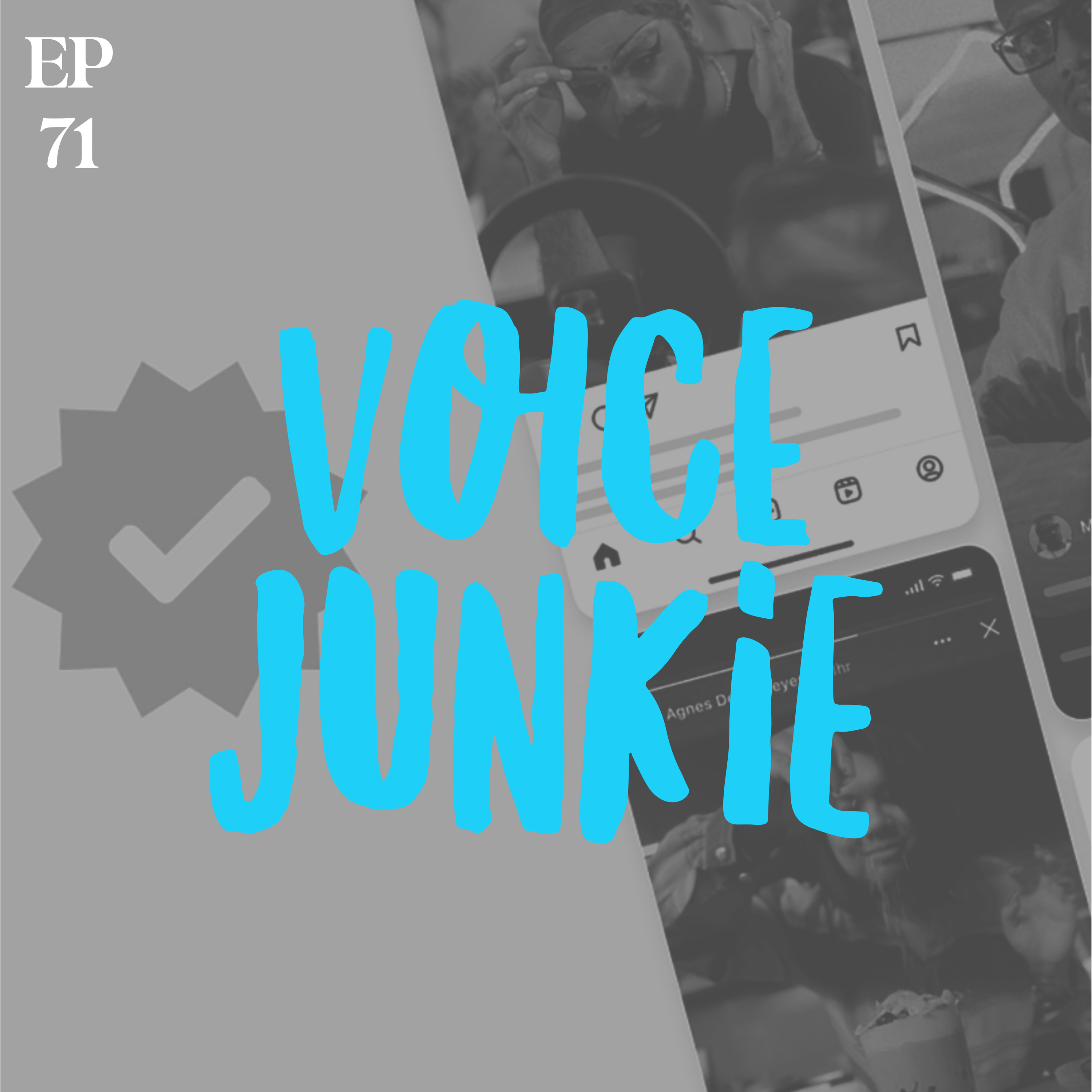 Voice Junkie
