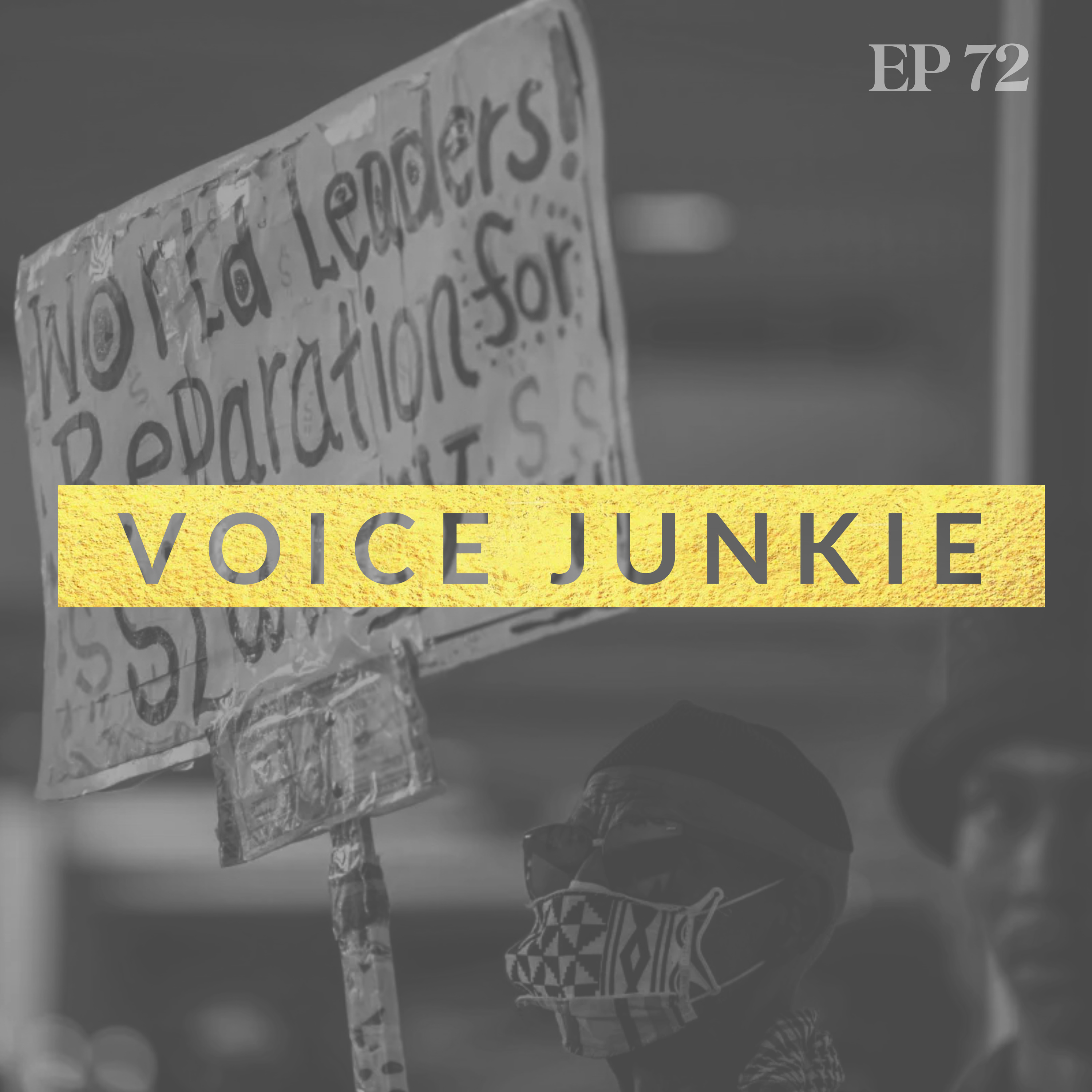 Voice Junkie