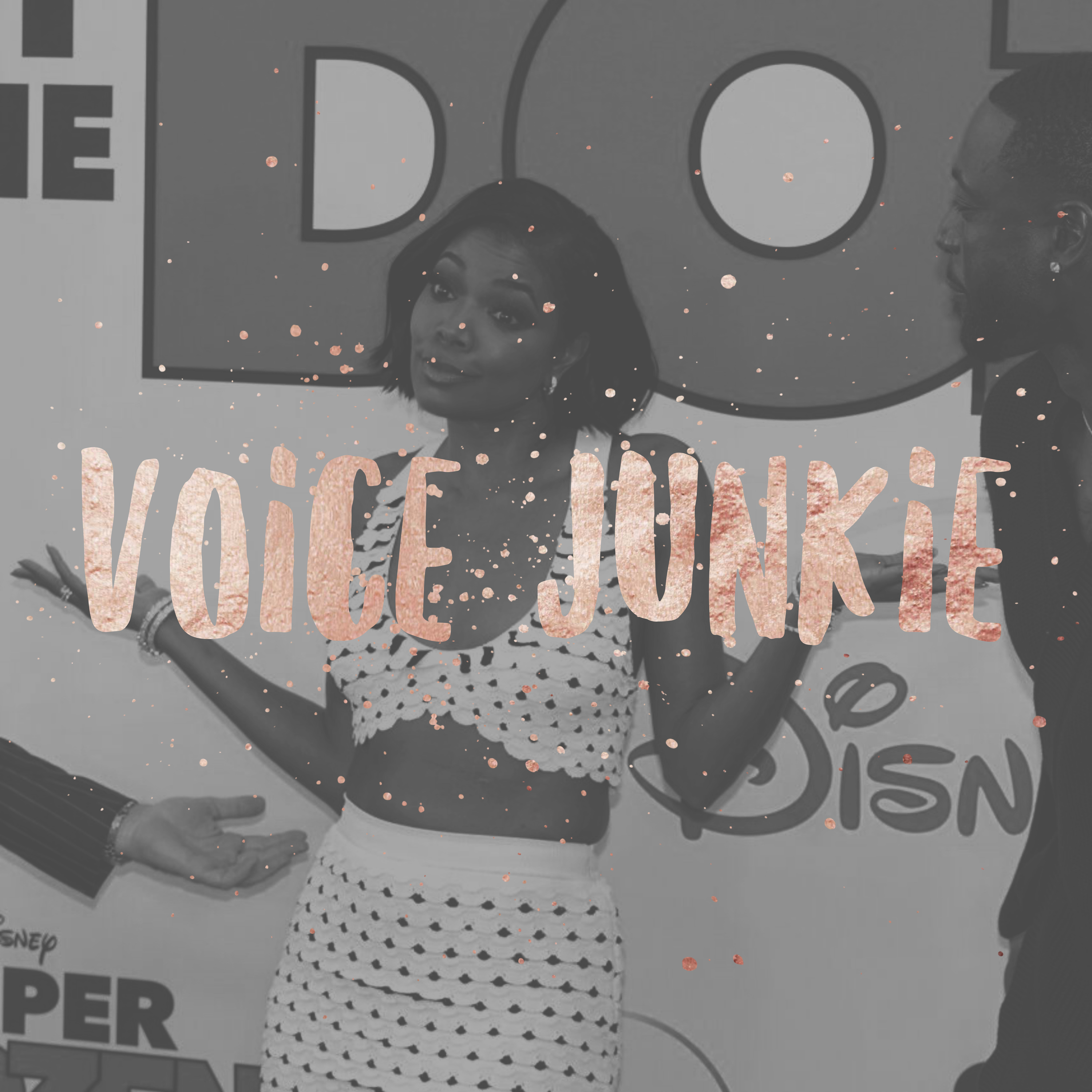 Voice Junkie