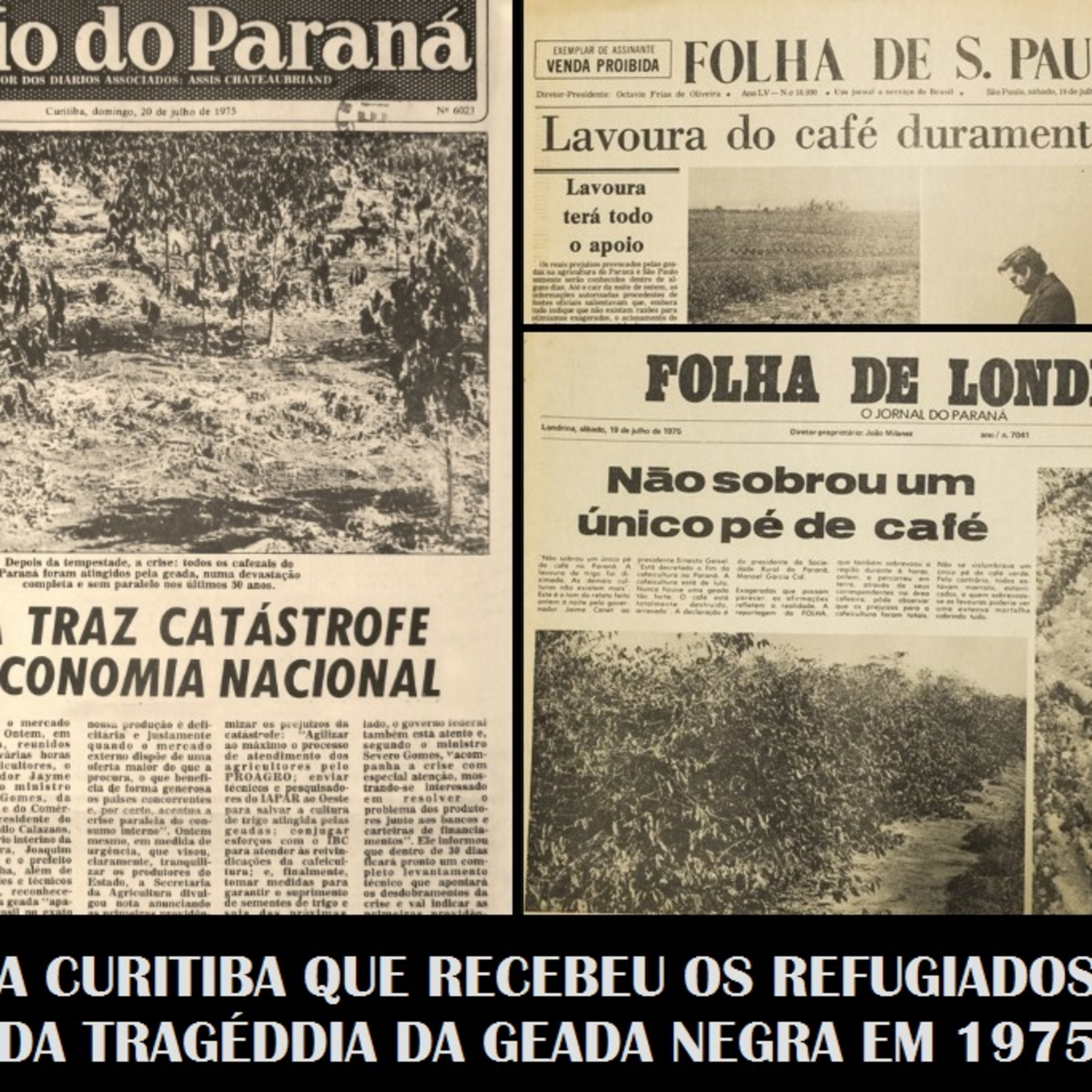 Câmara Municipal de Curitiba | CMC Podcasts