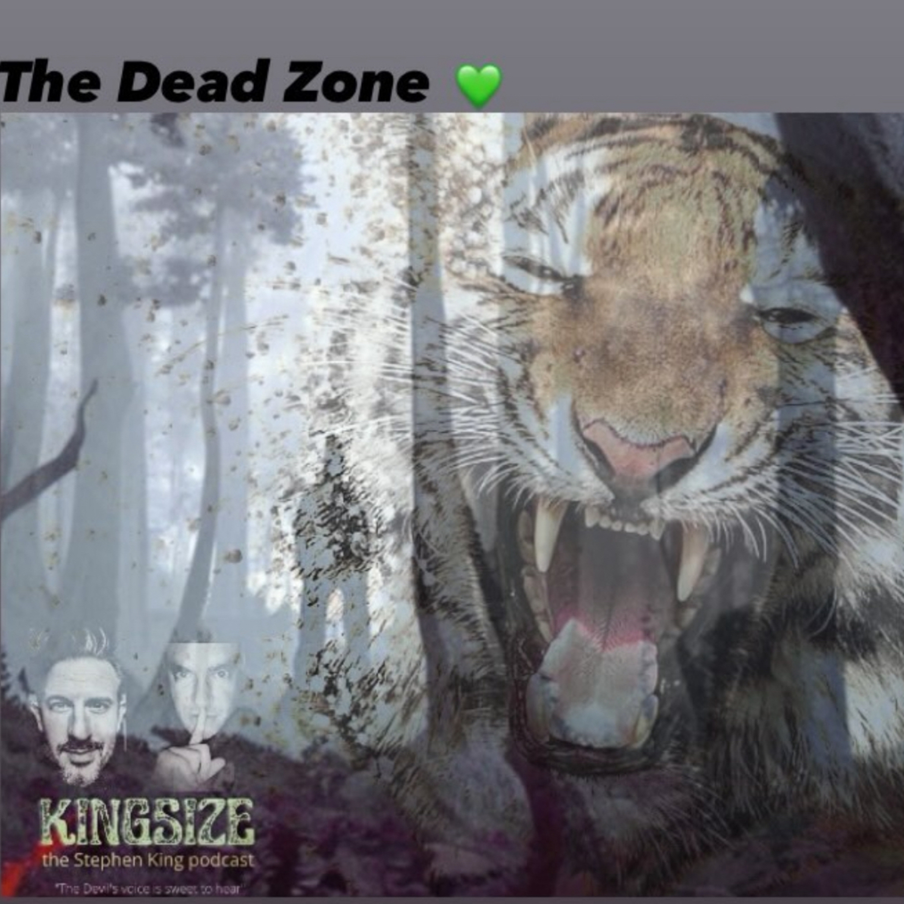 Kingsize