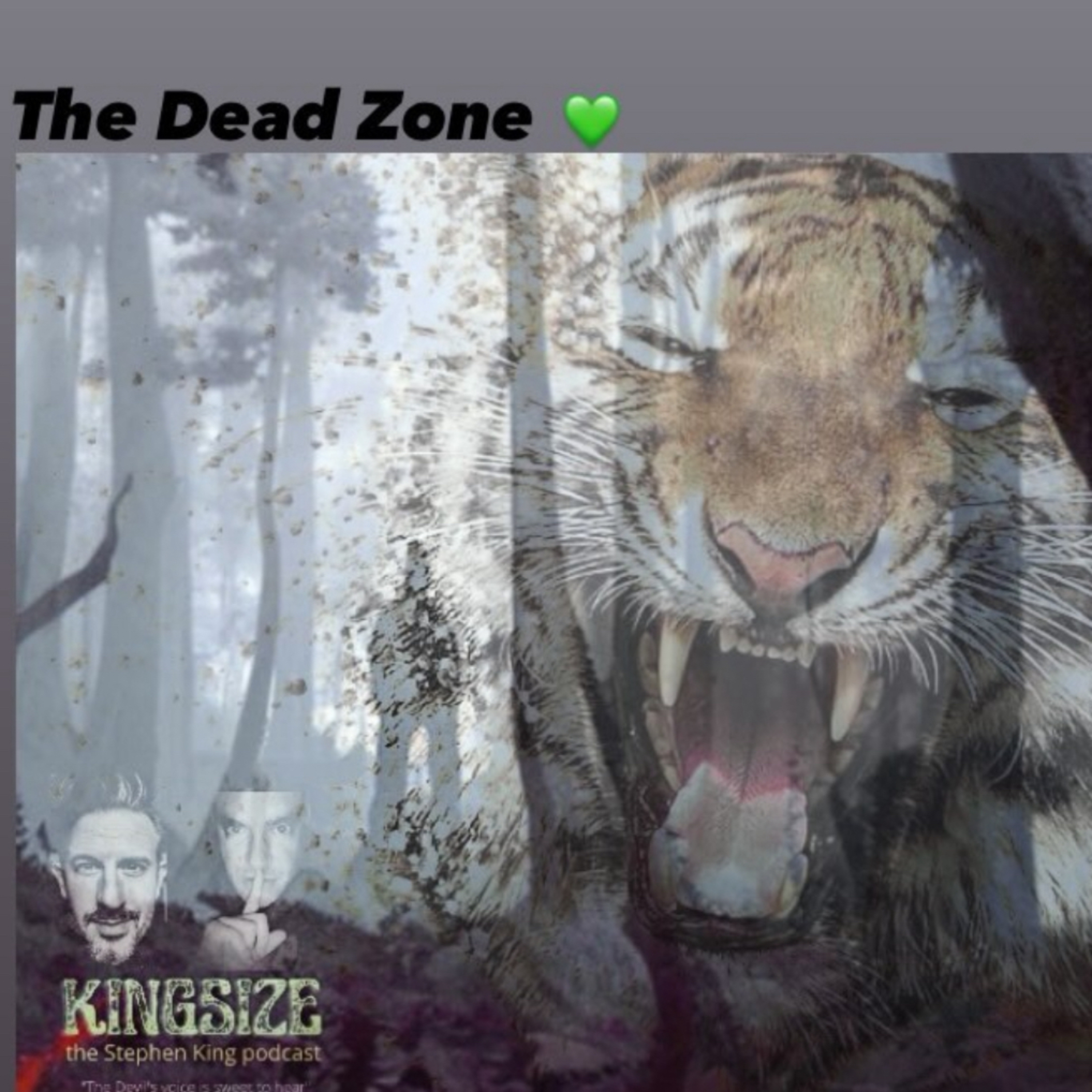 Kingsize