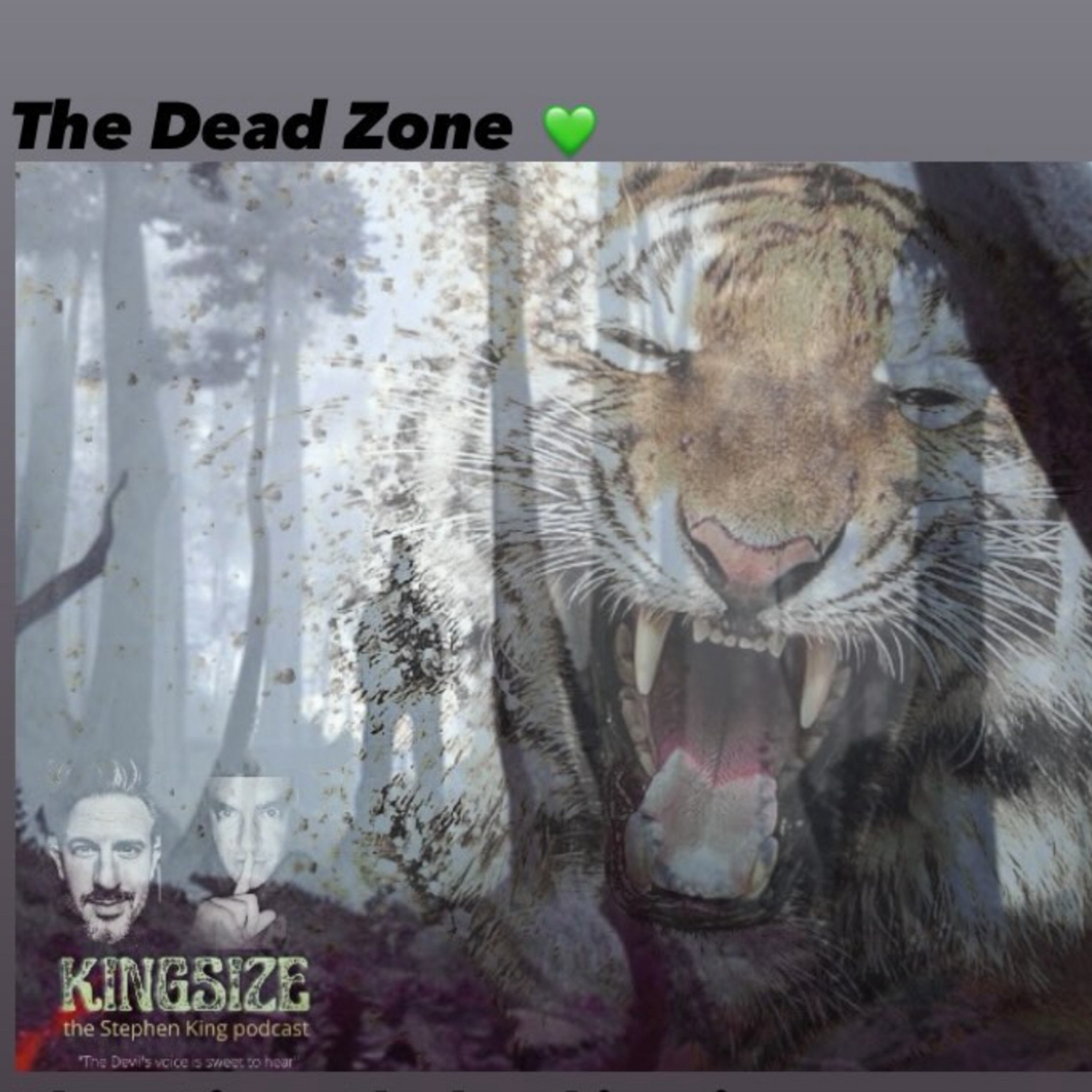 Kingsize