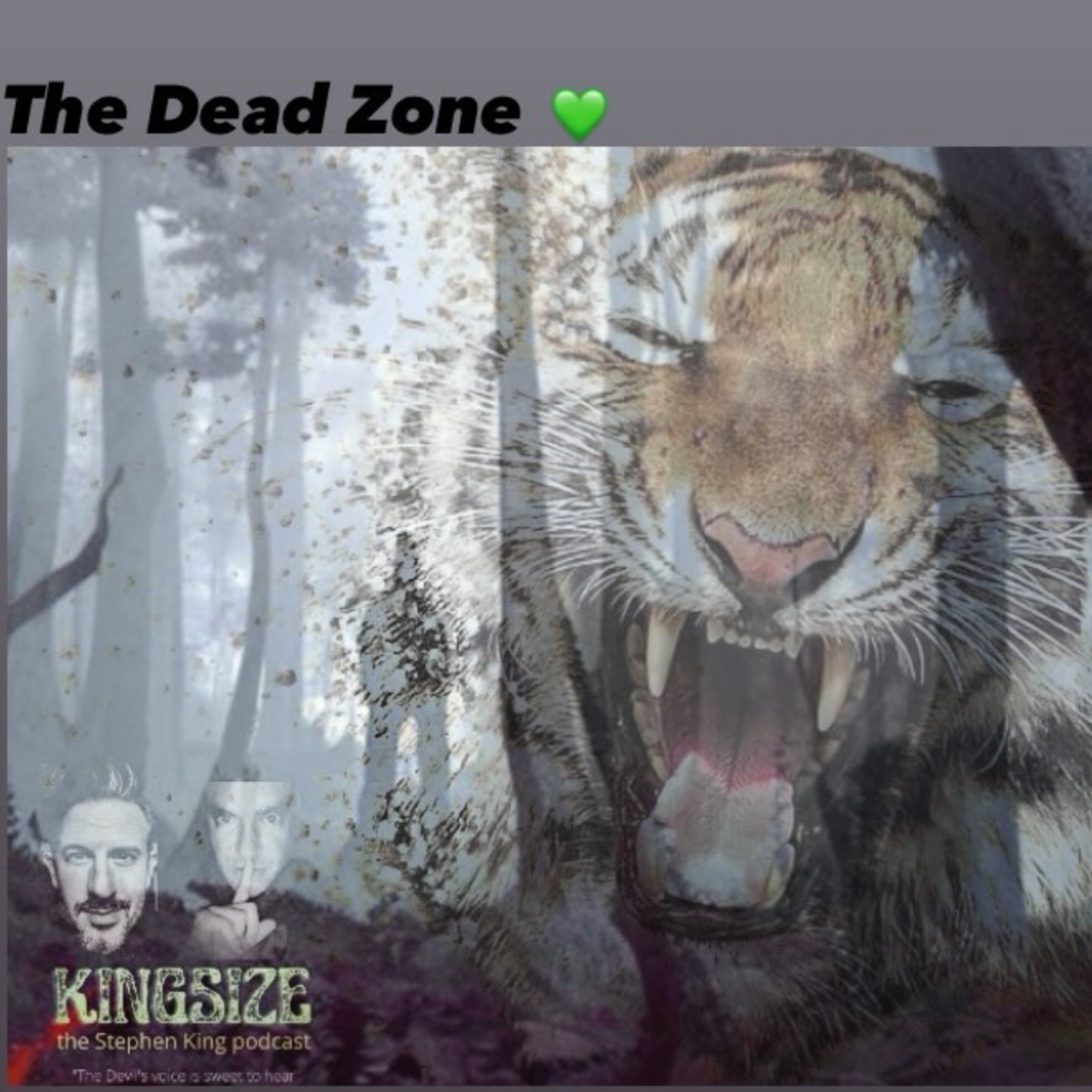 Kingsize