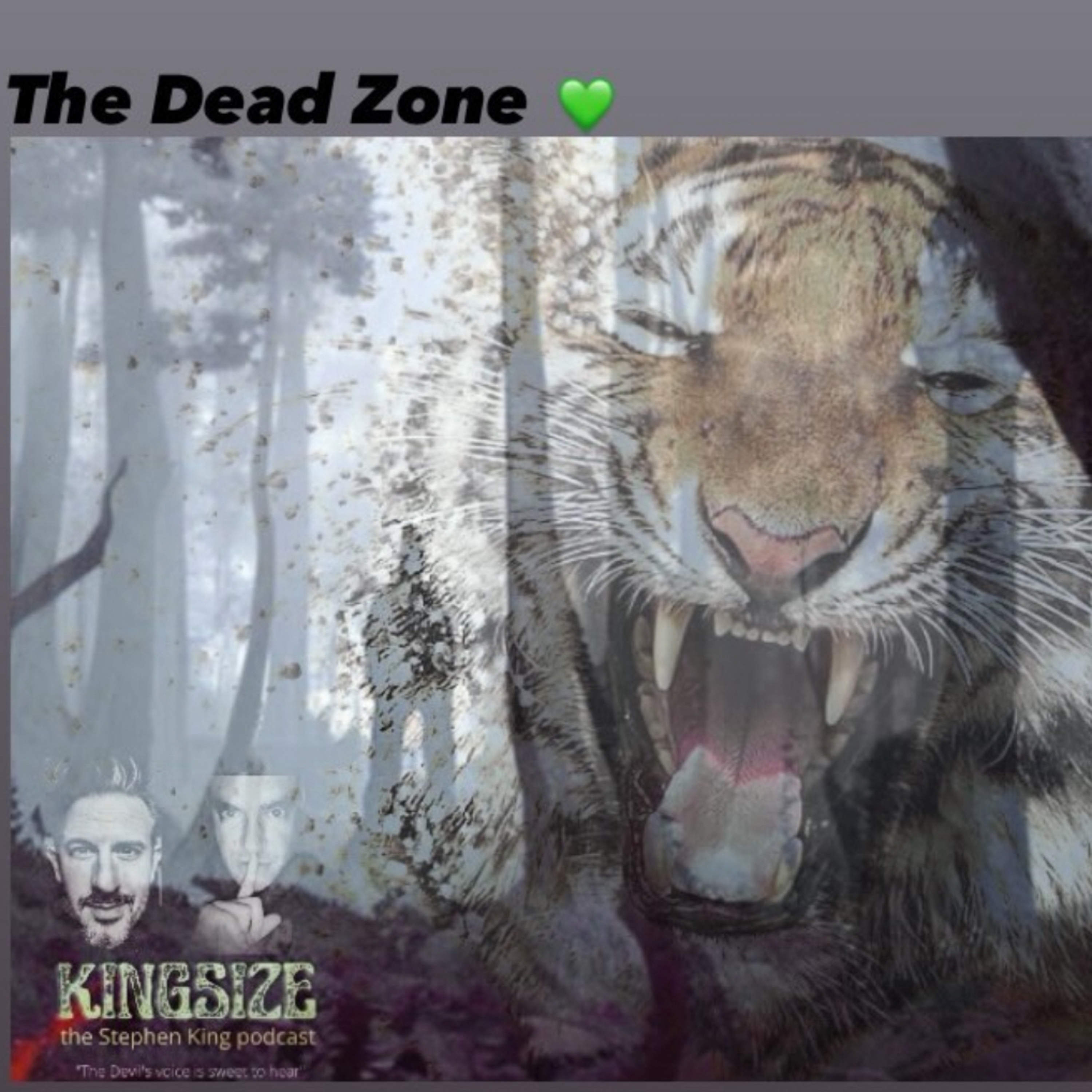 Kingsize