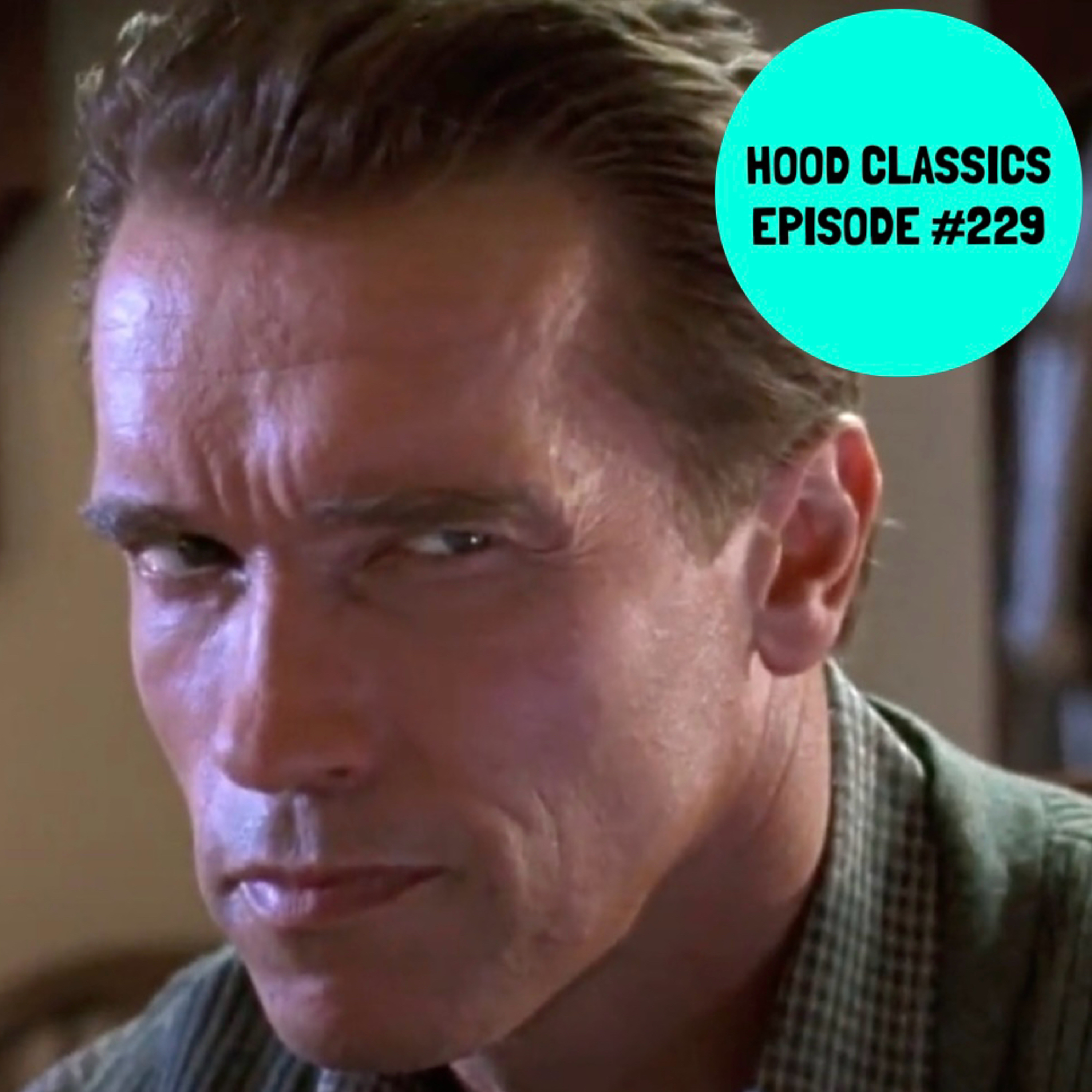 "Playing In Each Other Face" (True Lies 1994) Hood Classics #229 episode artwork