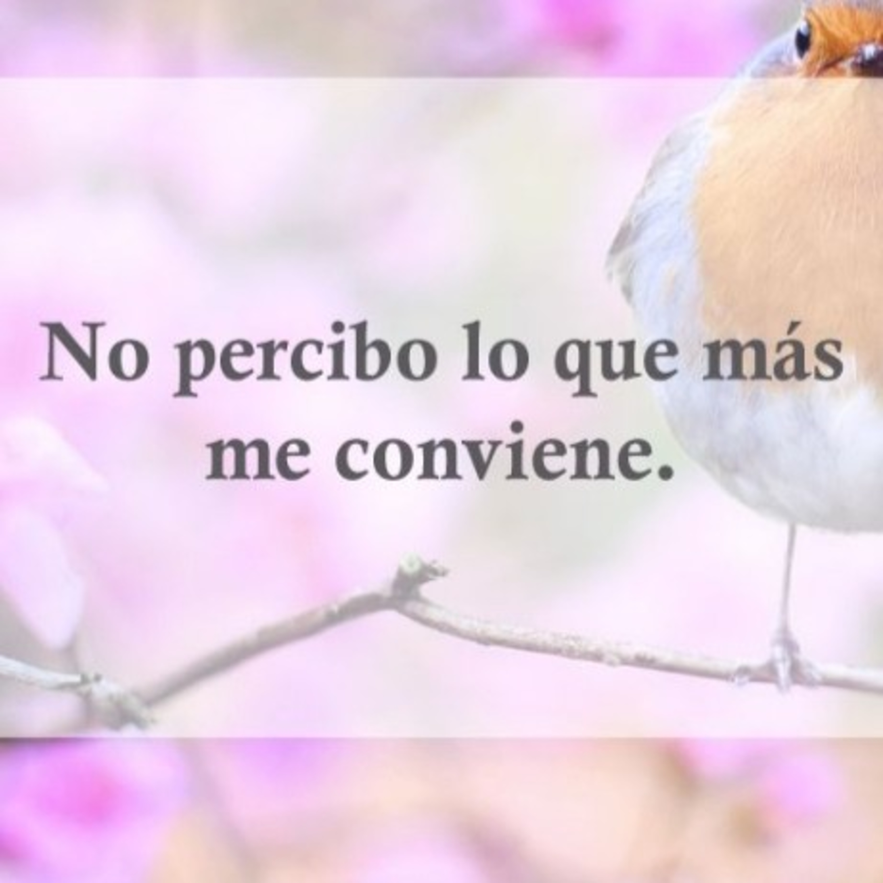 No percibo  episode artwork