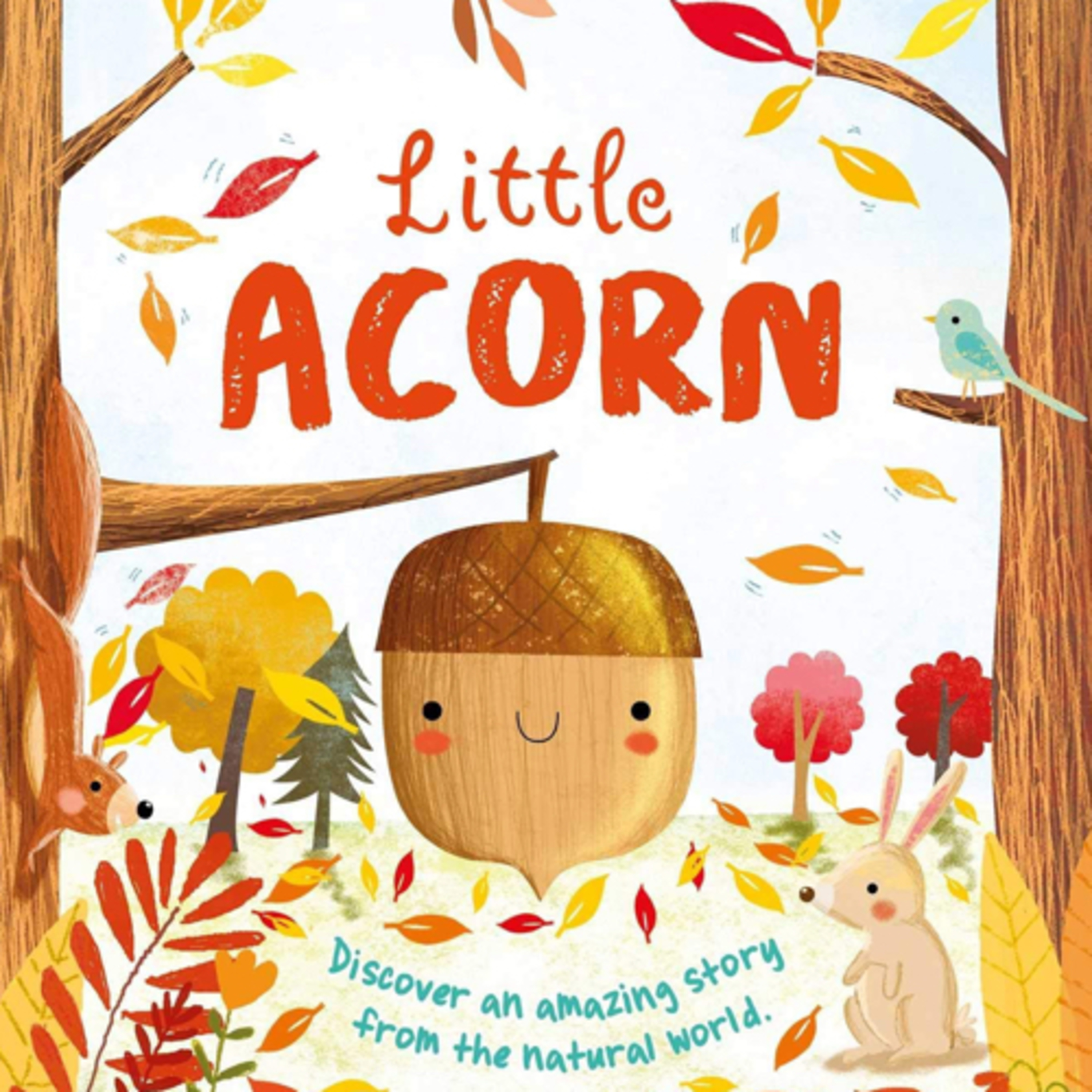 Little Acorn episode artwork