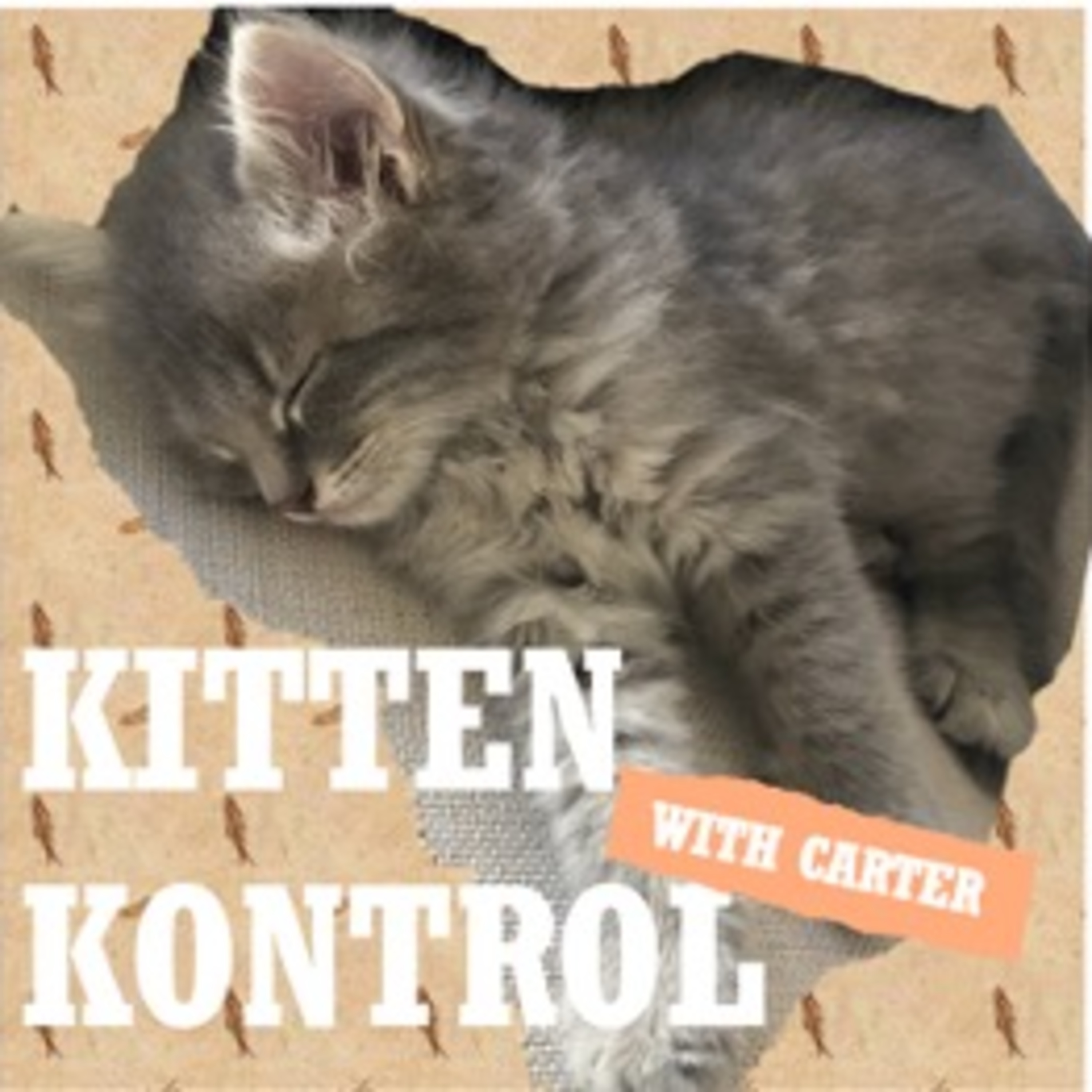 Kitten Kontrol: Trailer episode artwork